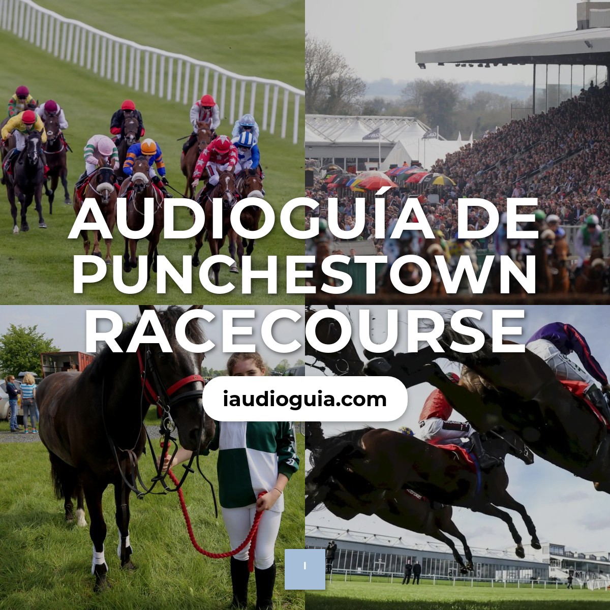 Audioguía de Punchestown Racecourse