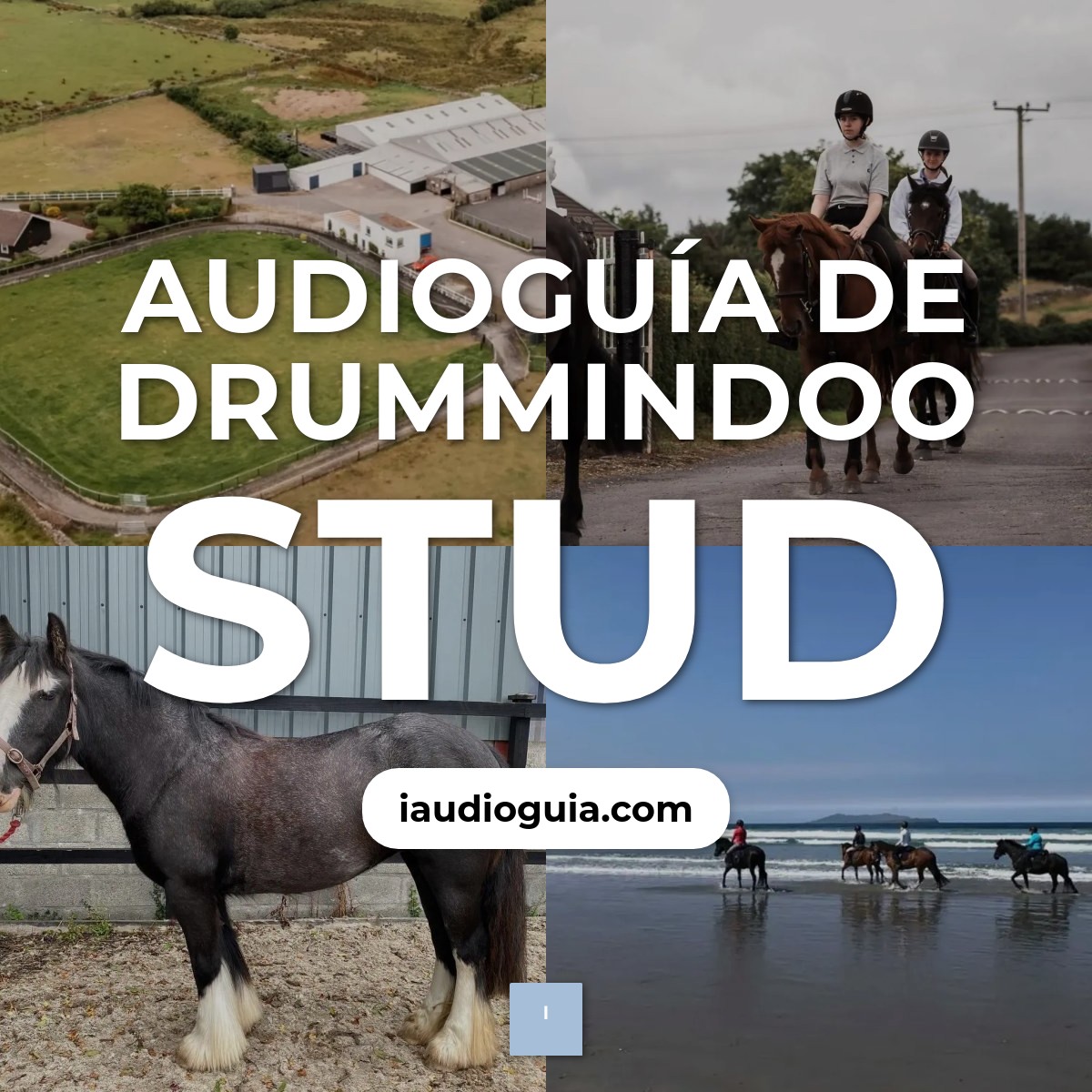 Audioguía de Drummindoo Stud
