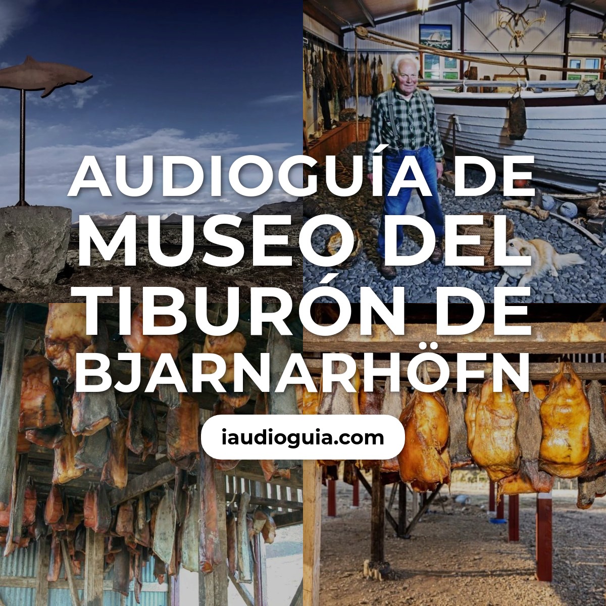 Audioguía de Museo del Tiburón de Bjarnarhöfn