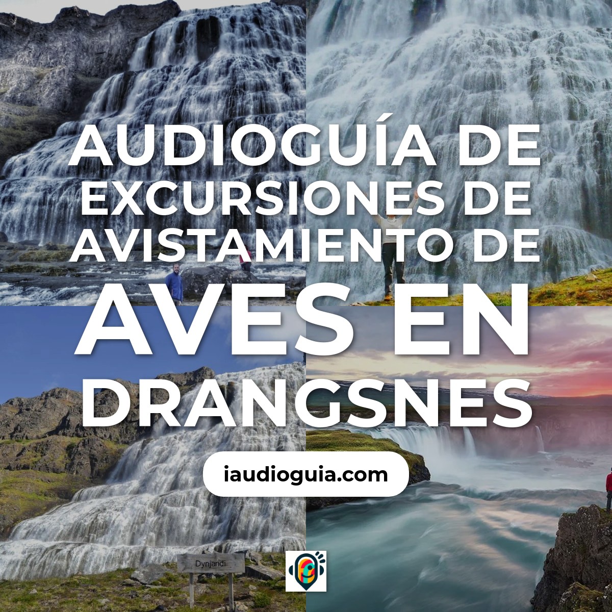 Audioguía de Excursiones Avistamiento Aves
