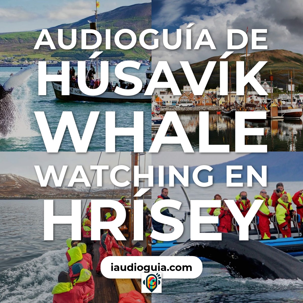 Audioguía de Húsavík Whale Watching en Hrísey