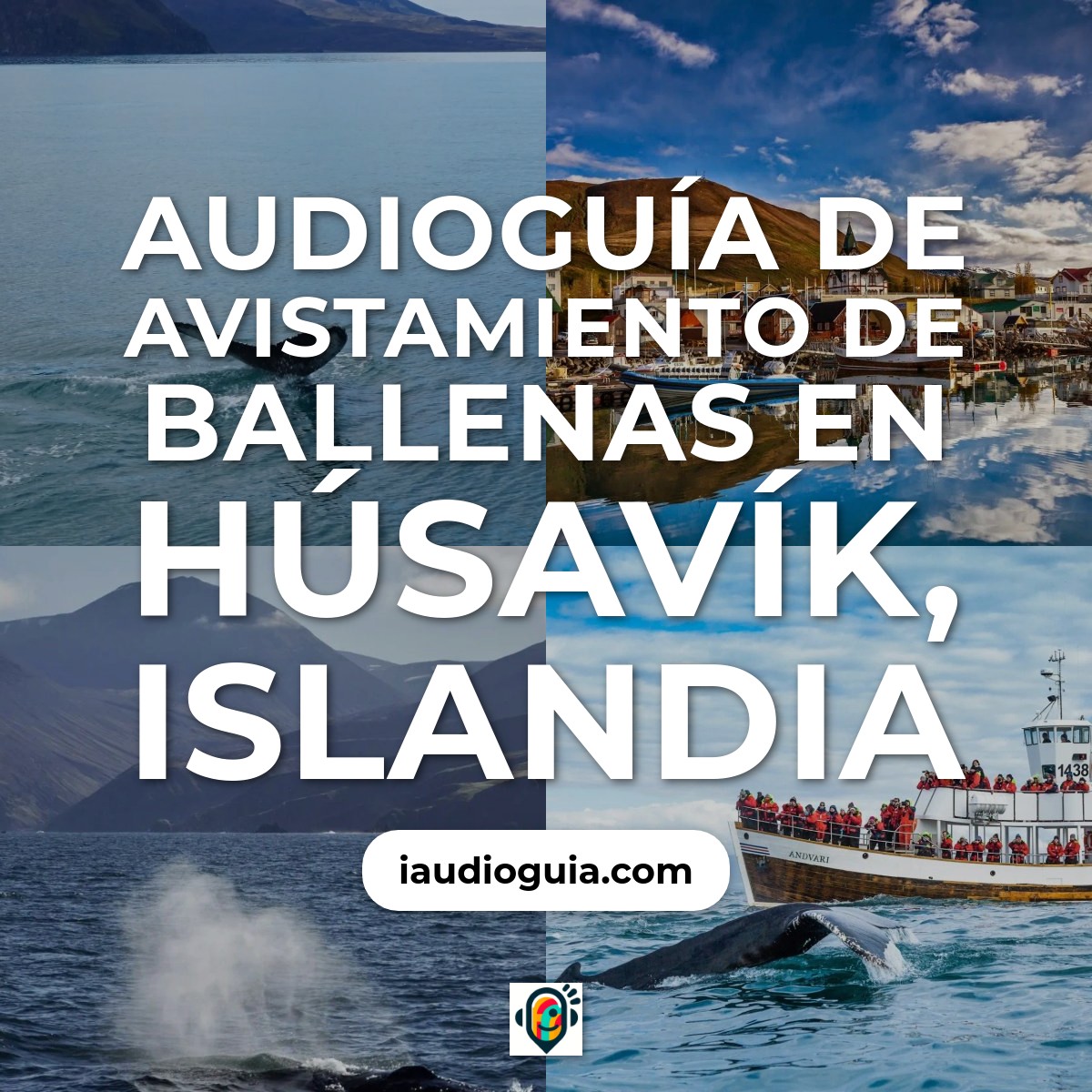 Audioguía de Avistamiento de Ballenas en Húsavík, Islandia