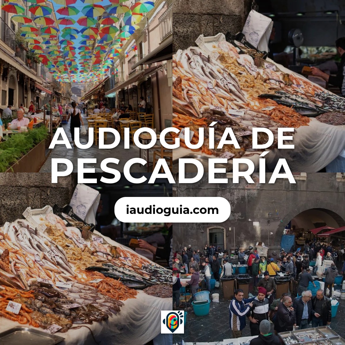 Audioguía de Mercado Del Pescado Pescheria