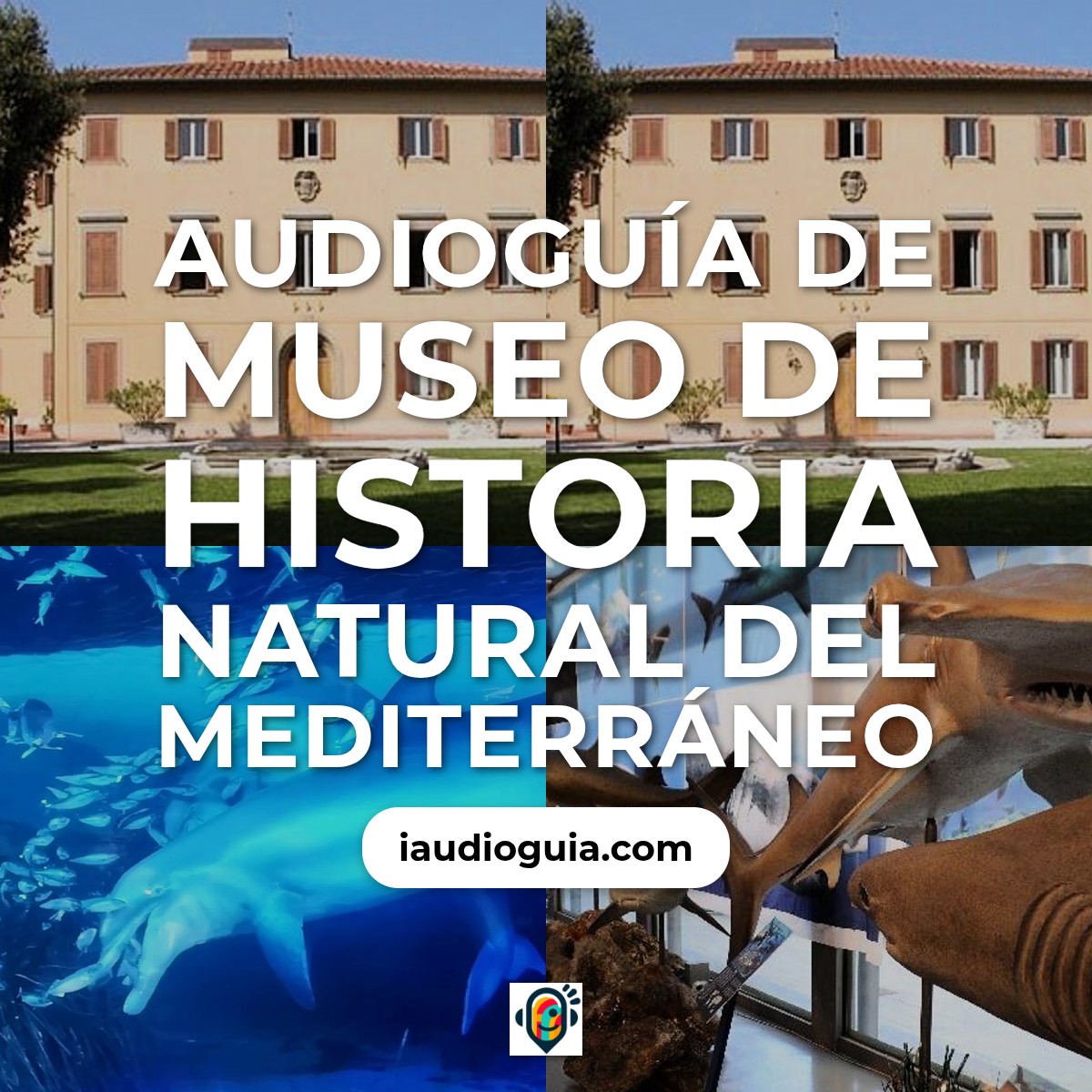 Audioguía de Museo Di Storia Naturale Del Mediterraneo
