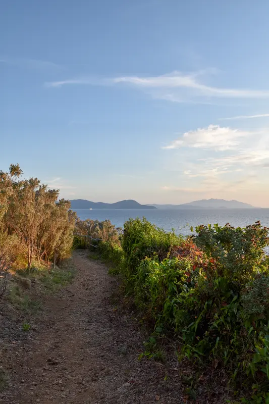Audioguía de Parco Punta Falcone