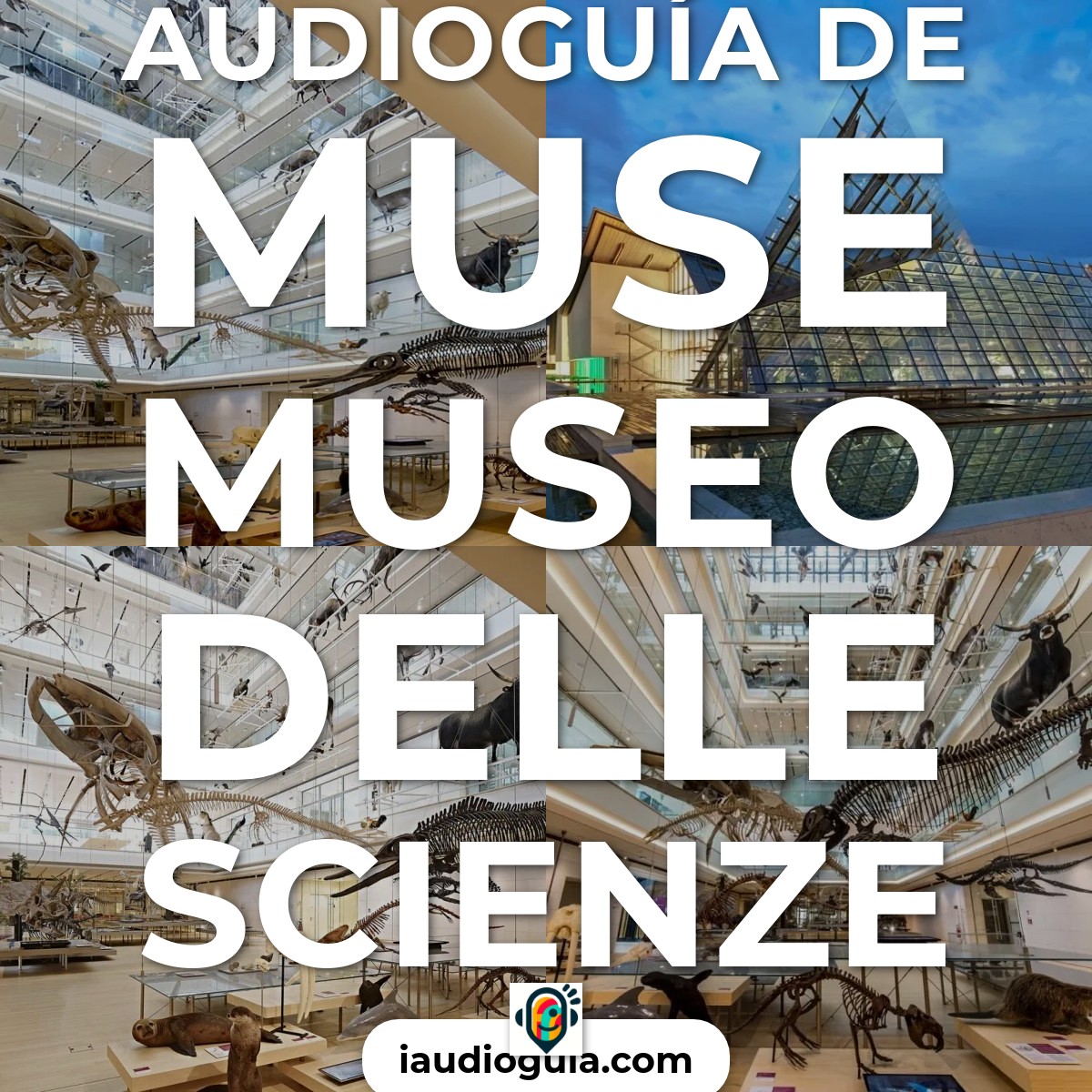 Audioguía de Muse Museo Delle Scienze