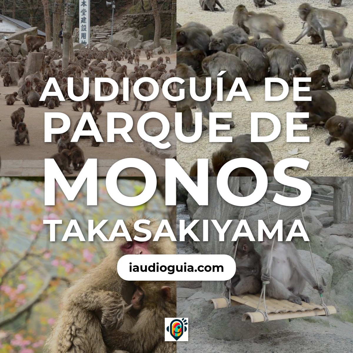 Audioguía de Takasakiyama Monkey Park