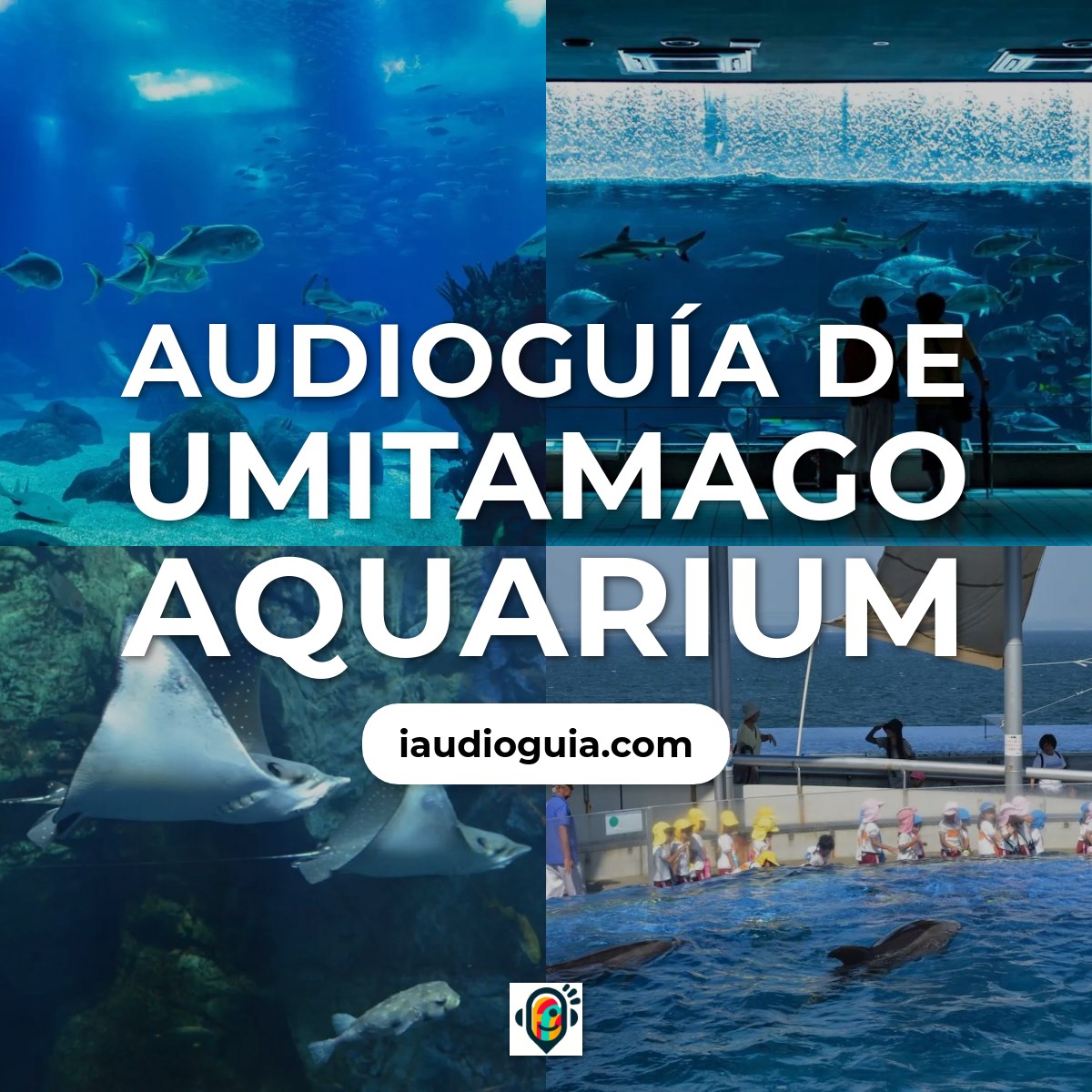 Audioguía de Umitamago Aquarium