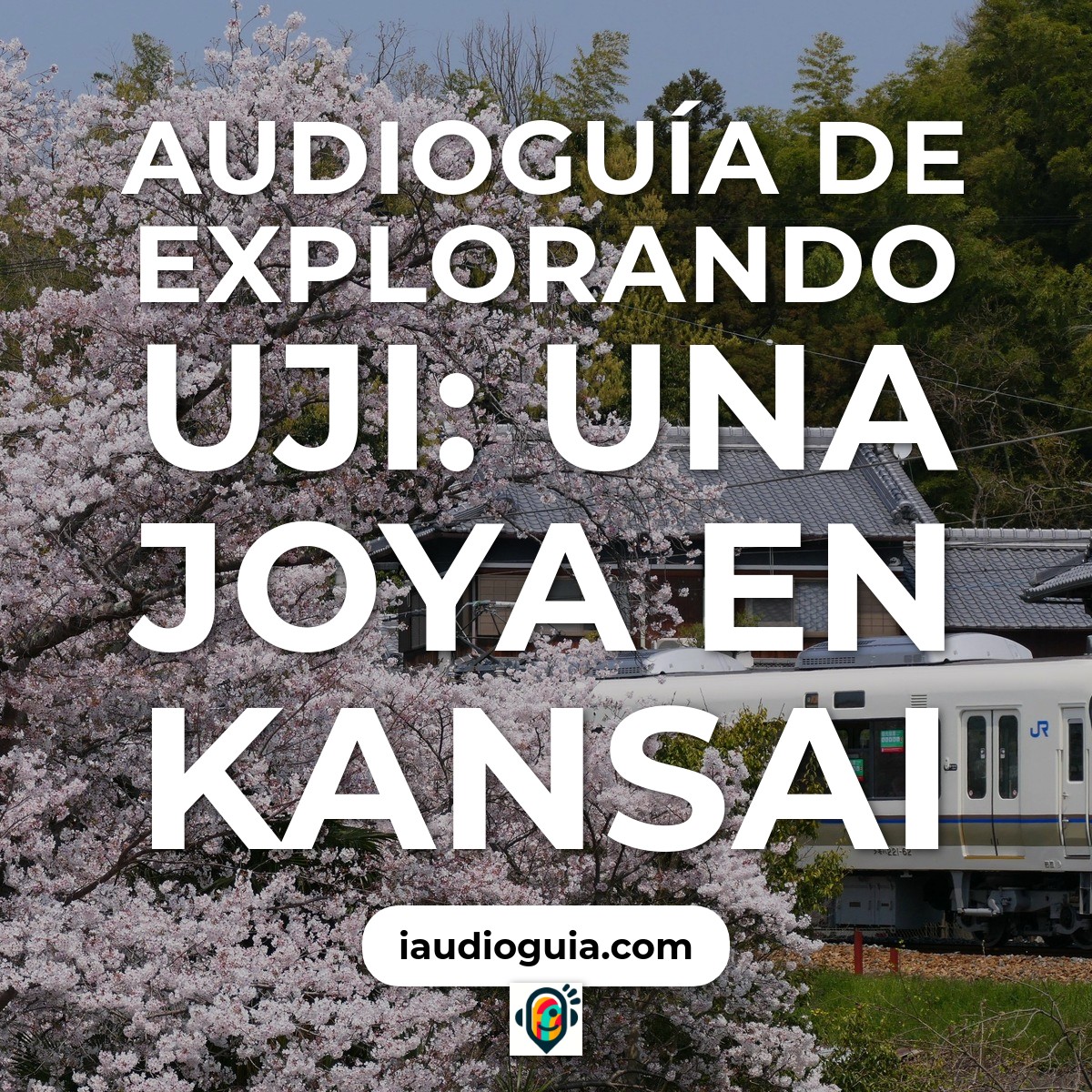 Explorando Uji: Una joya en Kansai