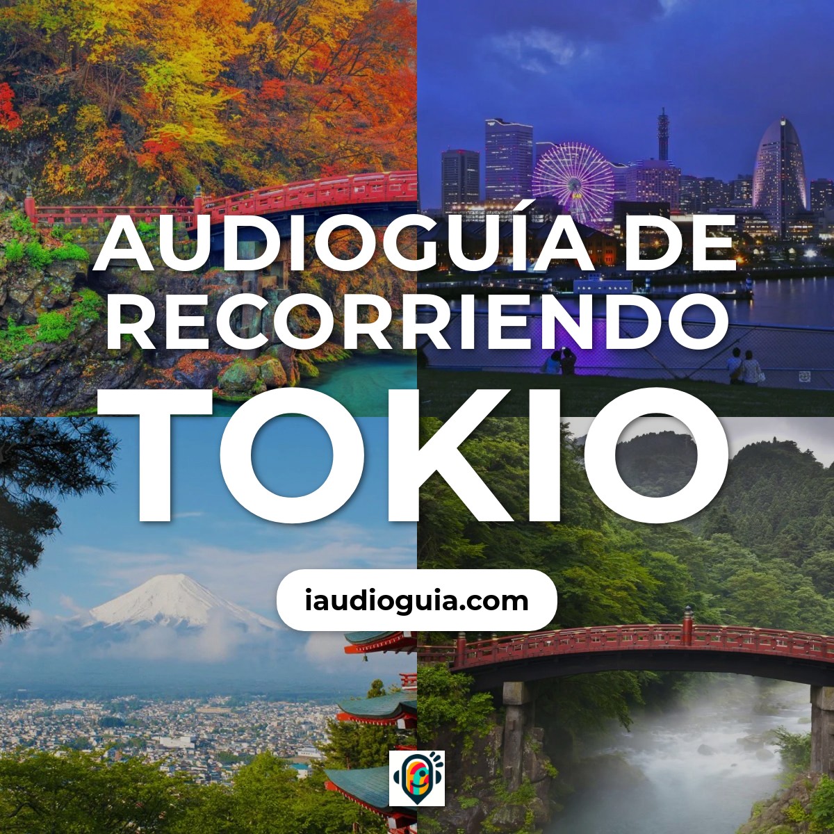 Recorriendo Tokio