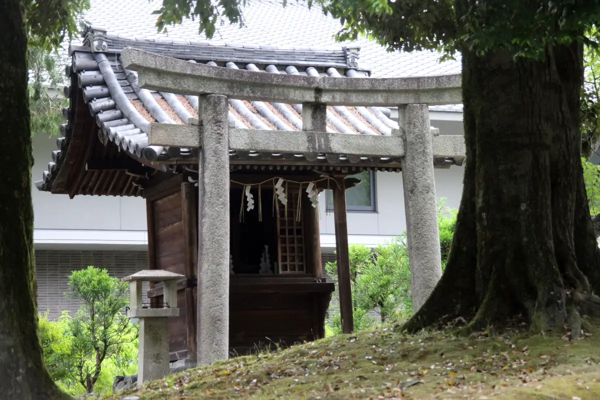 Audioguía de Nanzen Ji