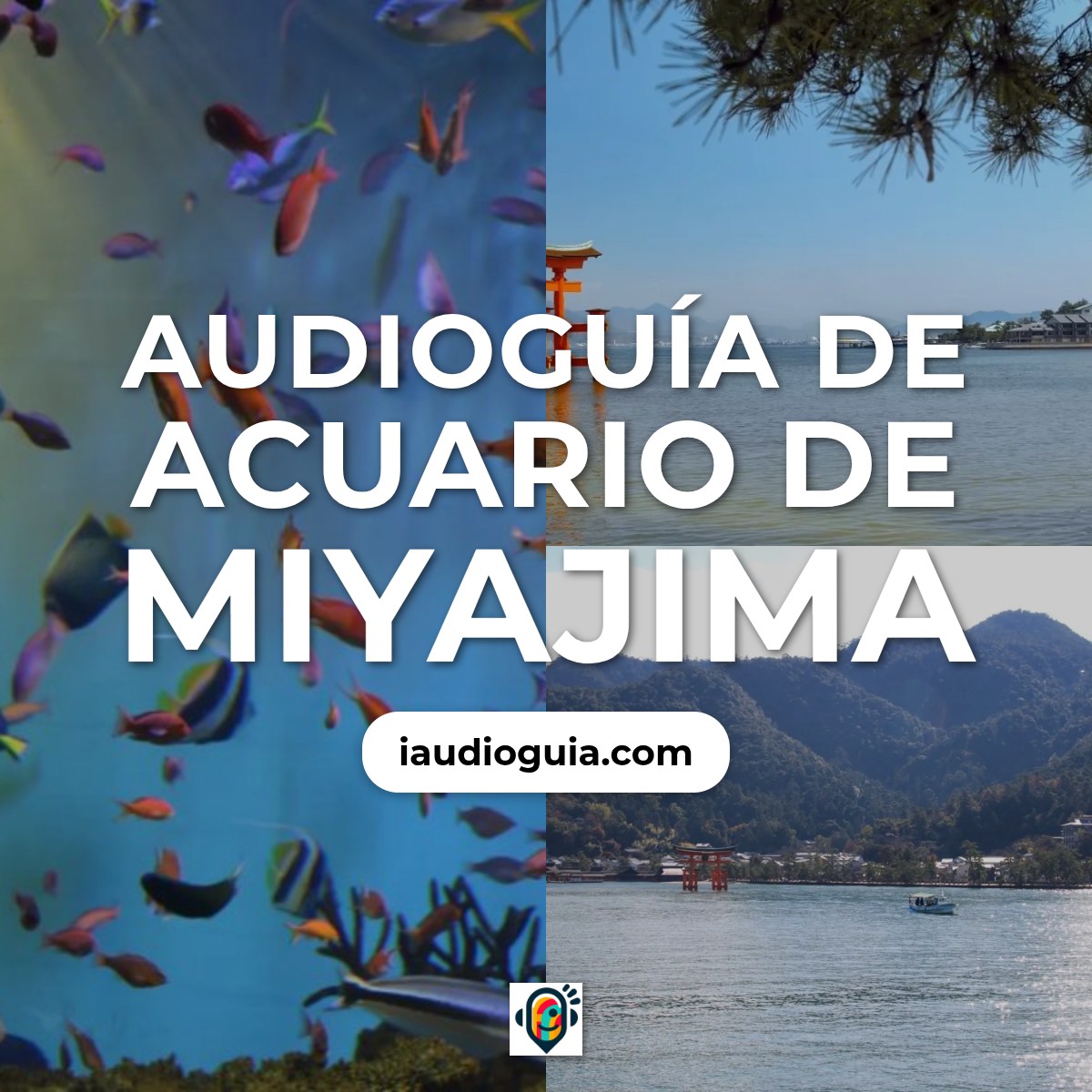 Audioguía de Miyajima