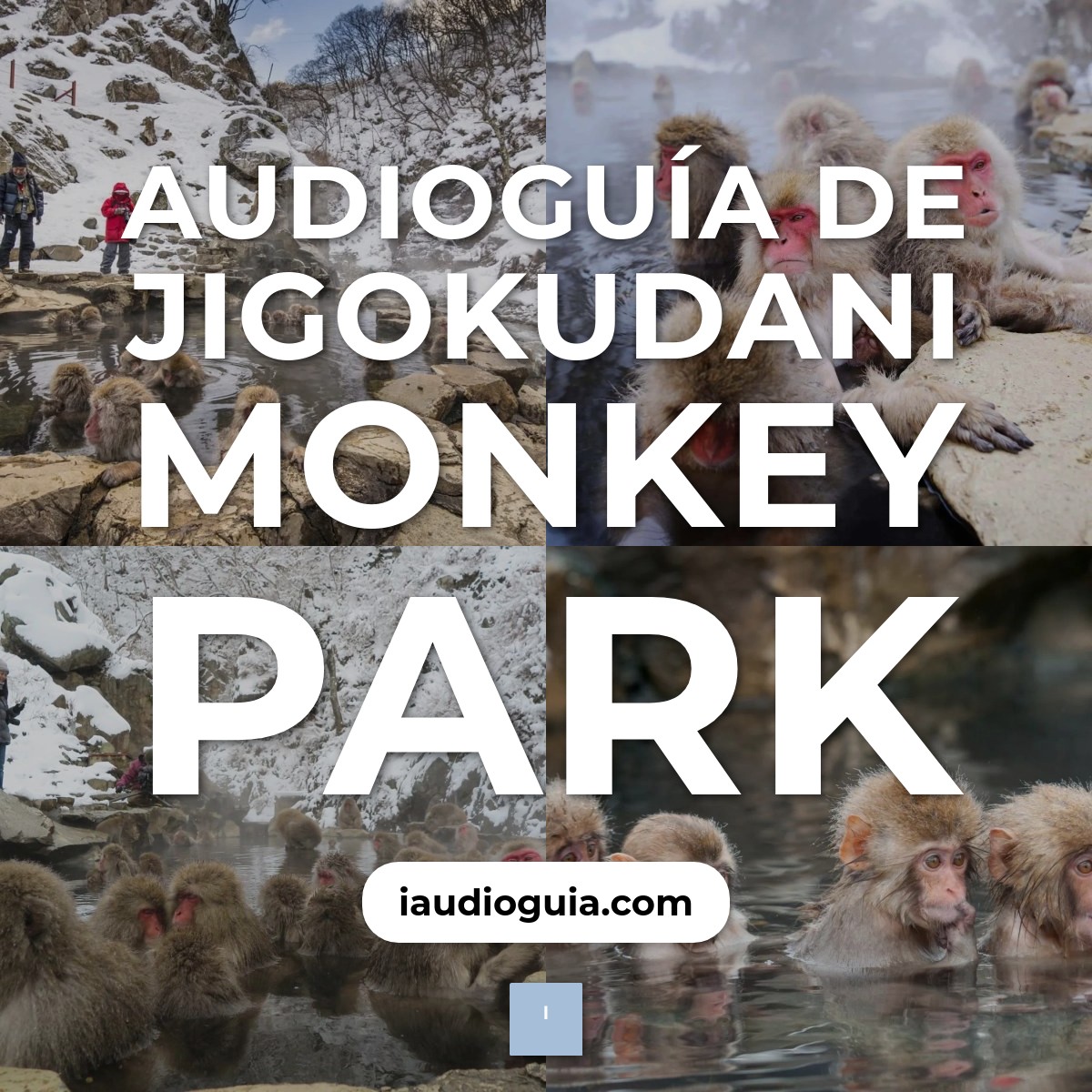 Audioguía de Jigokudani Monkey Park
