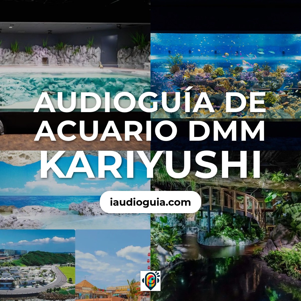 Audioguía de Acuario Dmm Kariyushi