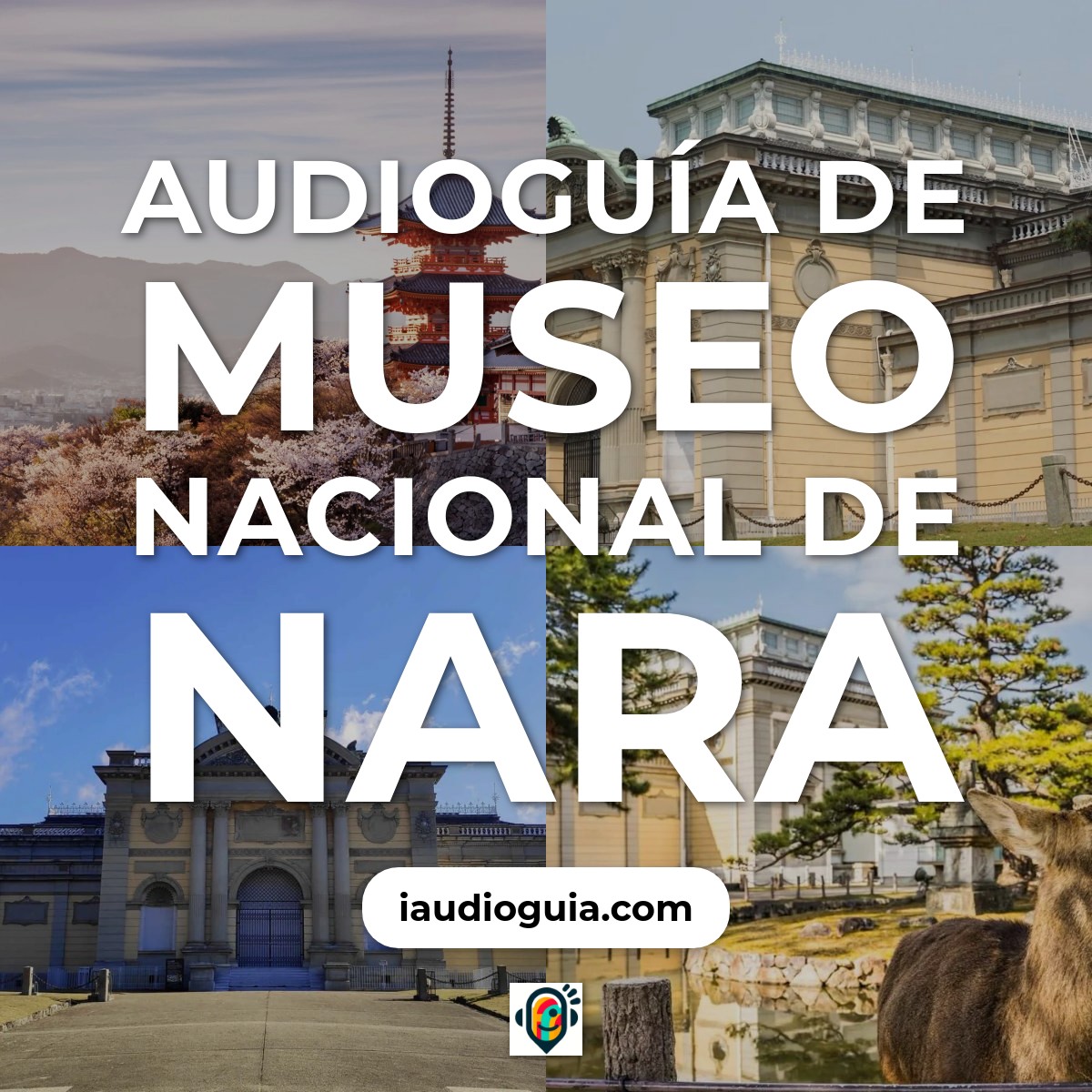 Audioguía de Museo Nacional