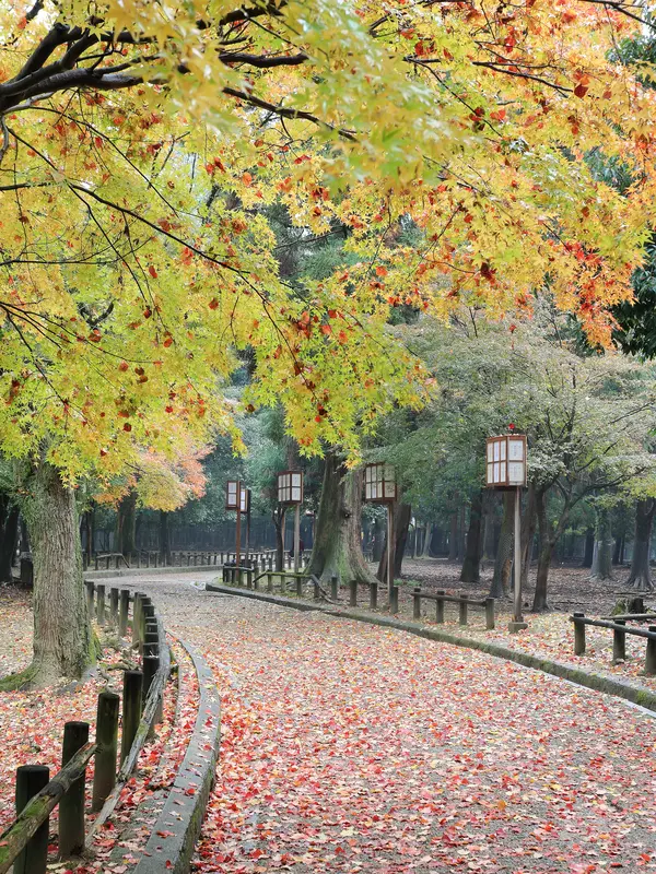 Parque de Nara