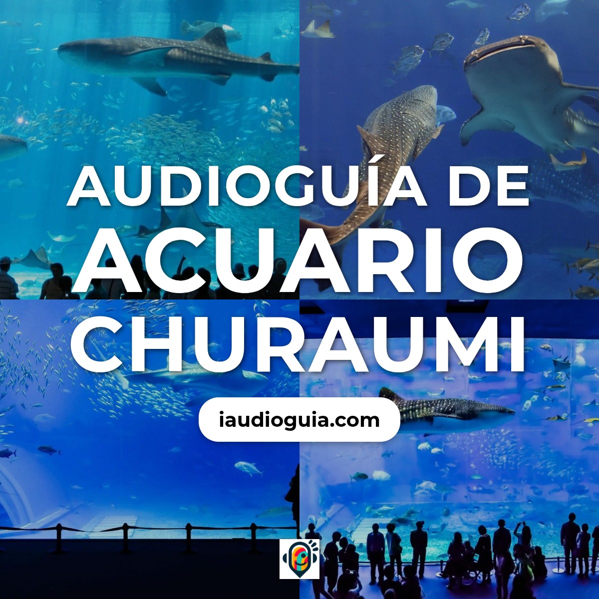 Acuario Churaumi