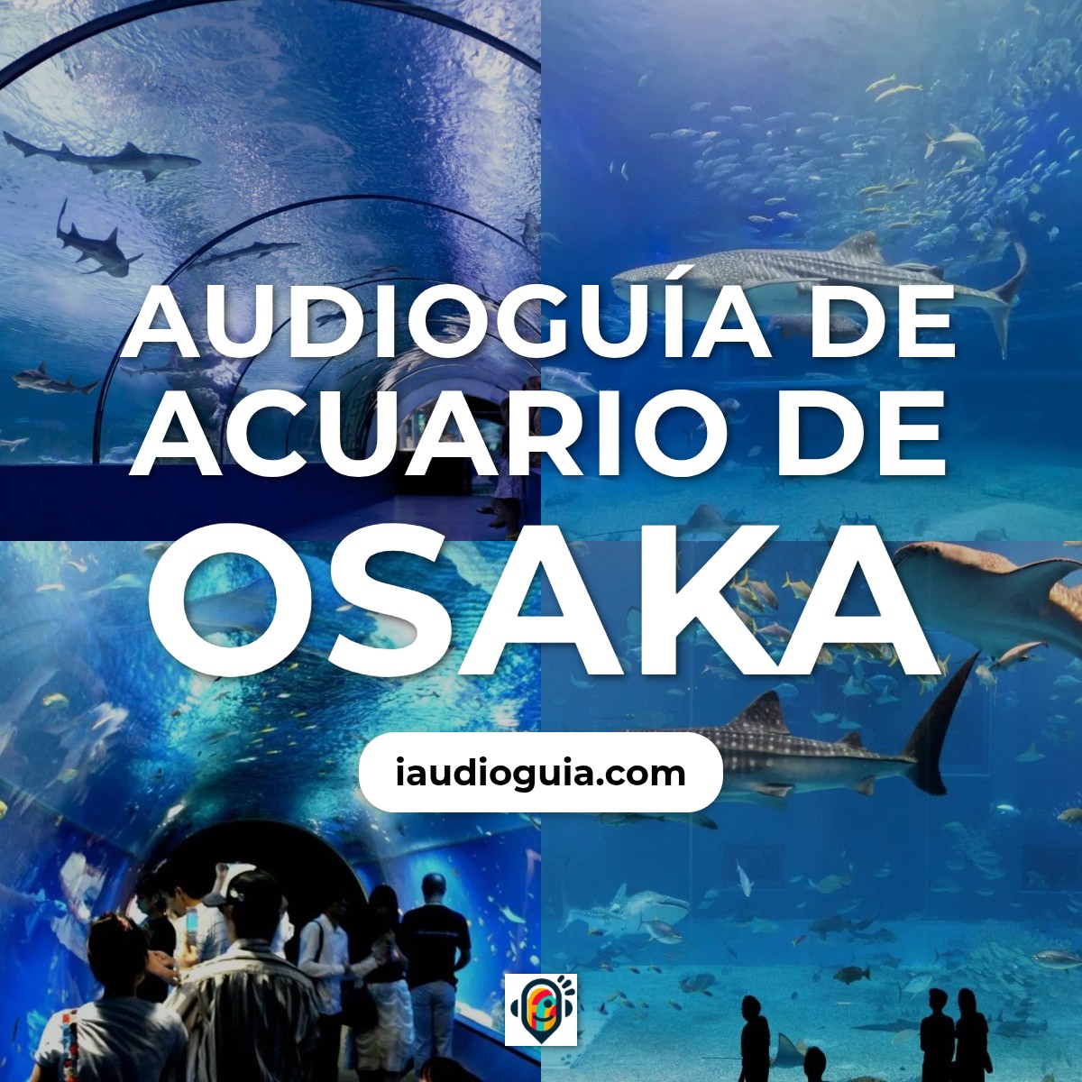 Audioguía de Osaka