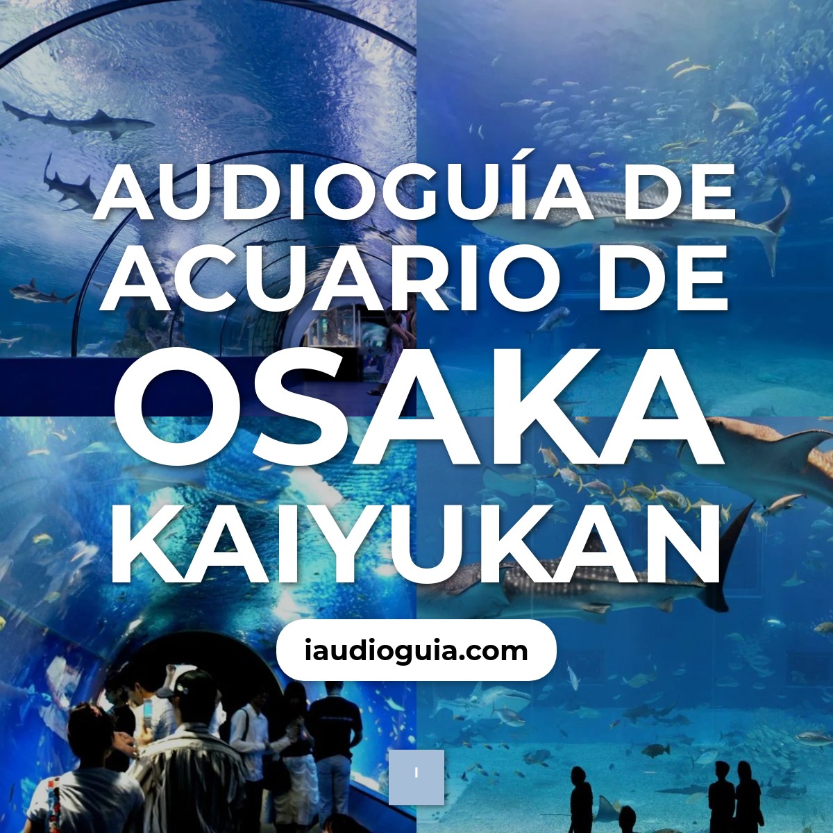 Audioguía de Acuario Osaka