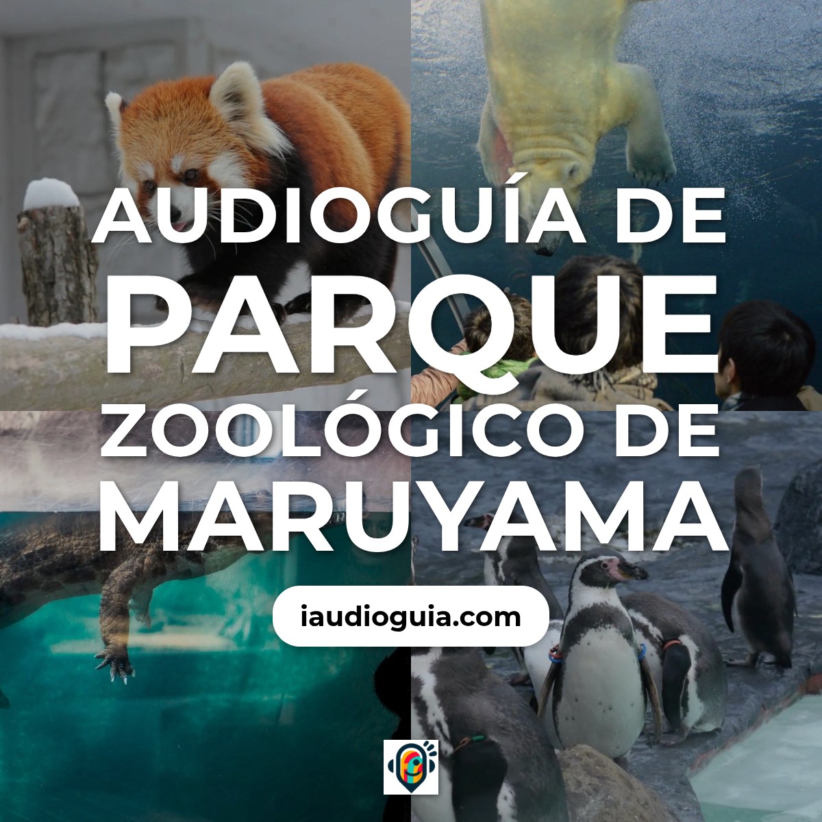 Audioguía de Parque Maruyama Zoologico Maruyama
