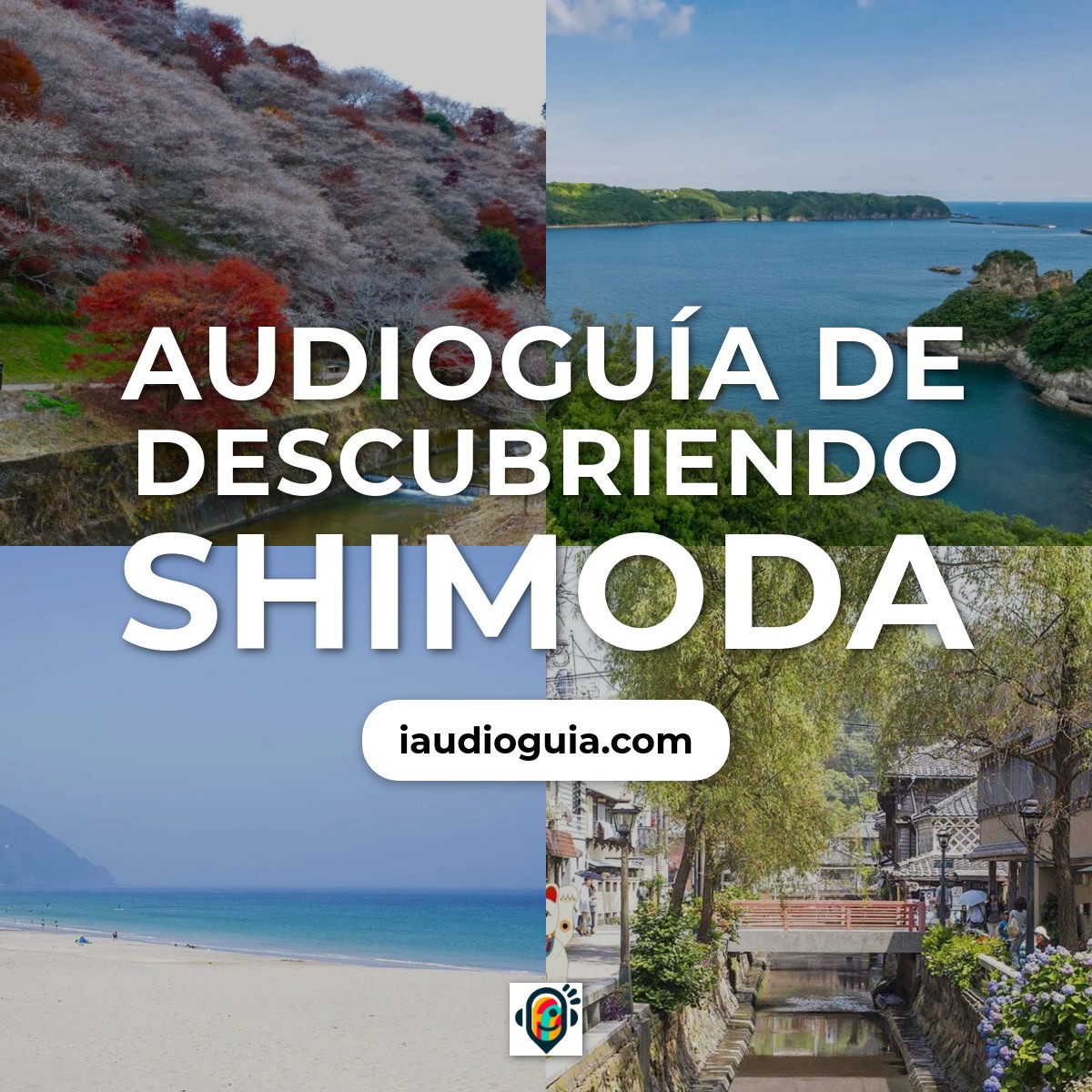 Audioguía de S