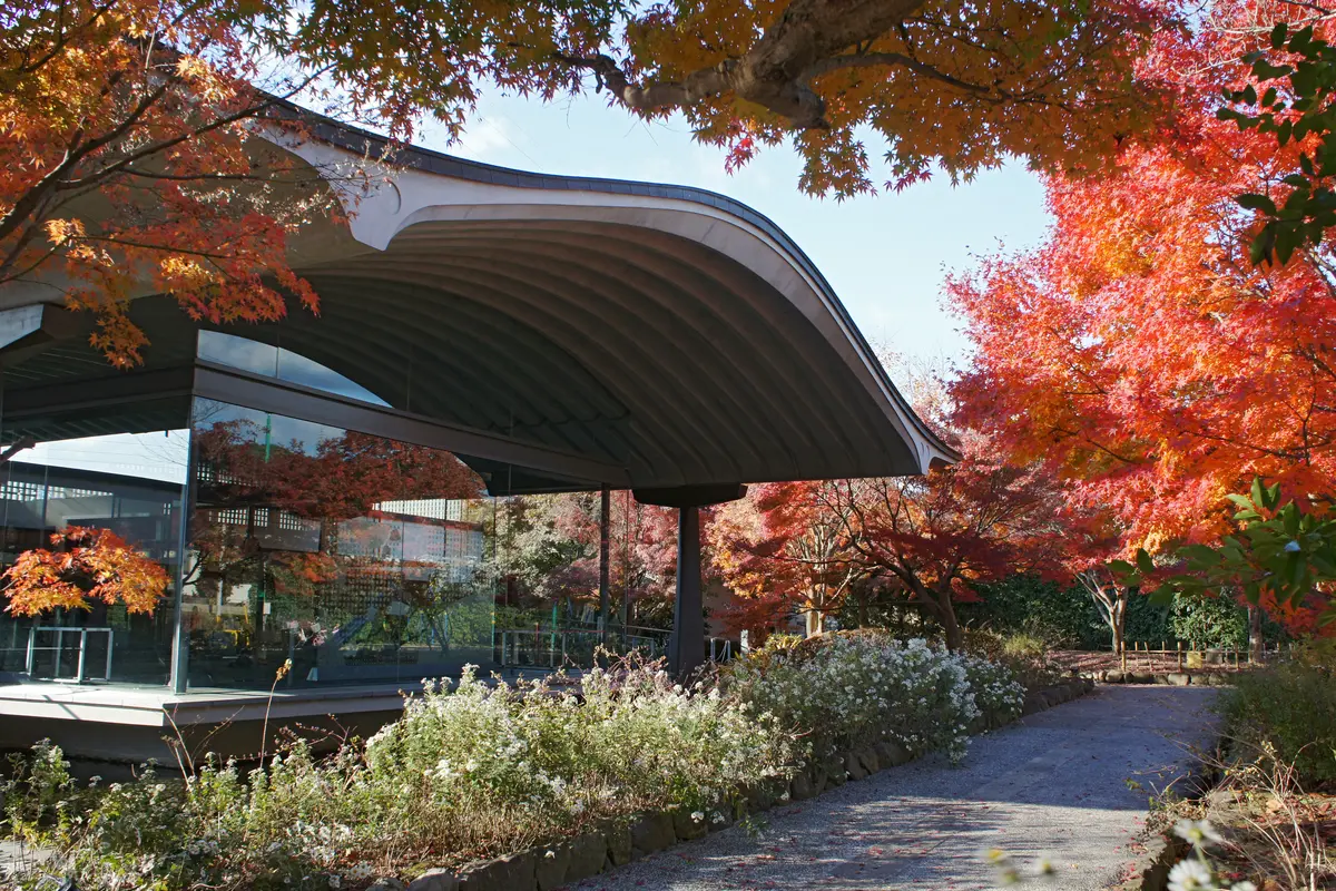Audioguía de Museo De Genji Monogatari