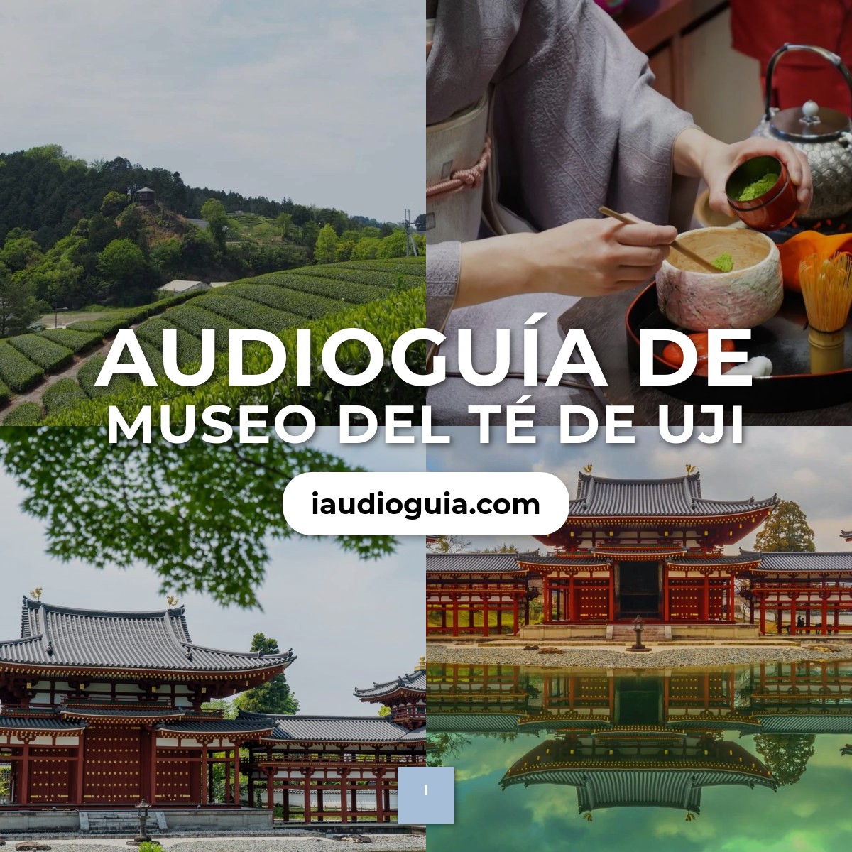 Audioguía de Museo Del Te