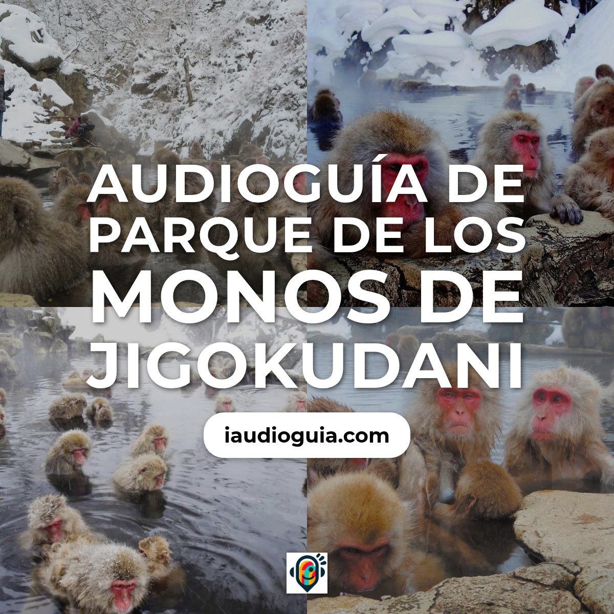 Audioguía de Parque Monos Jigokudani