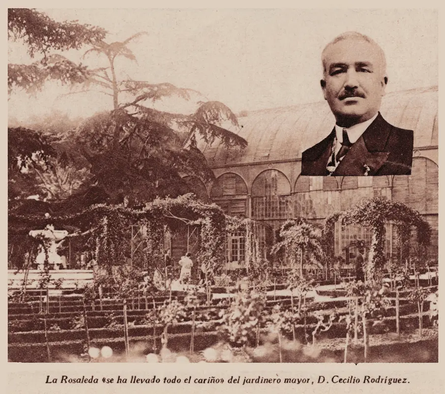 La Rosaleda (Cecilio Rodríguez)