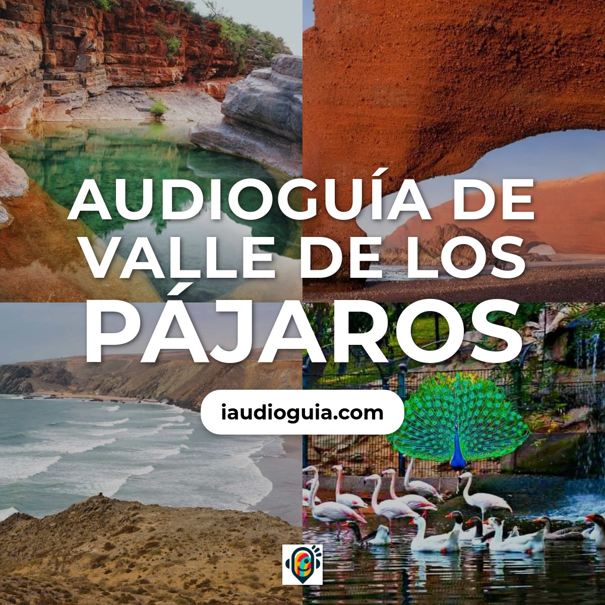 Audioguía de Valle Pajaros