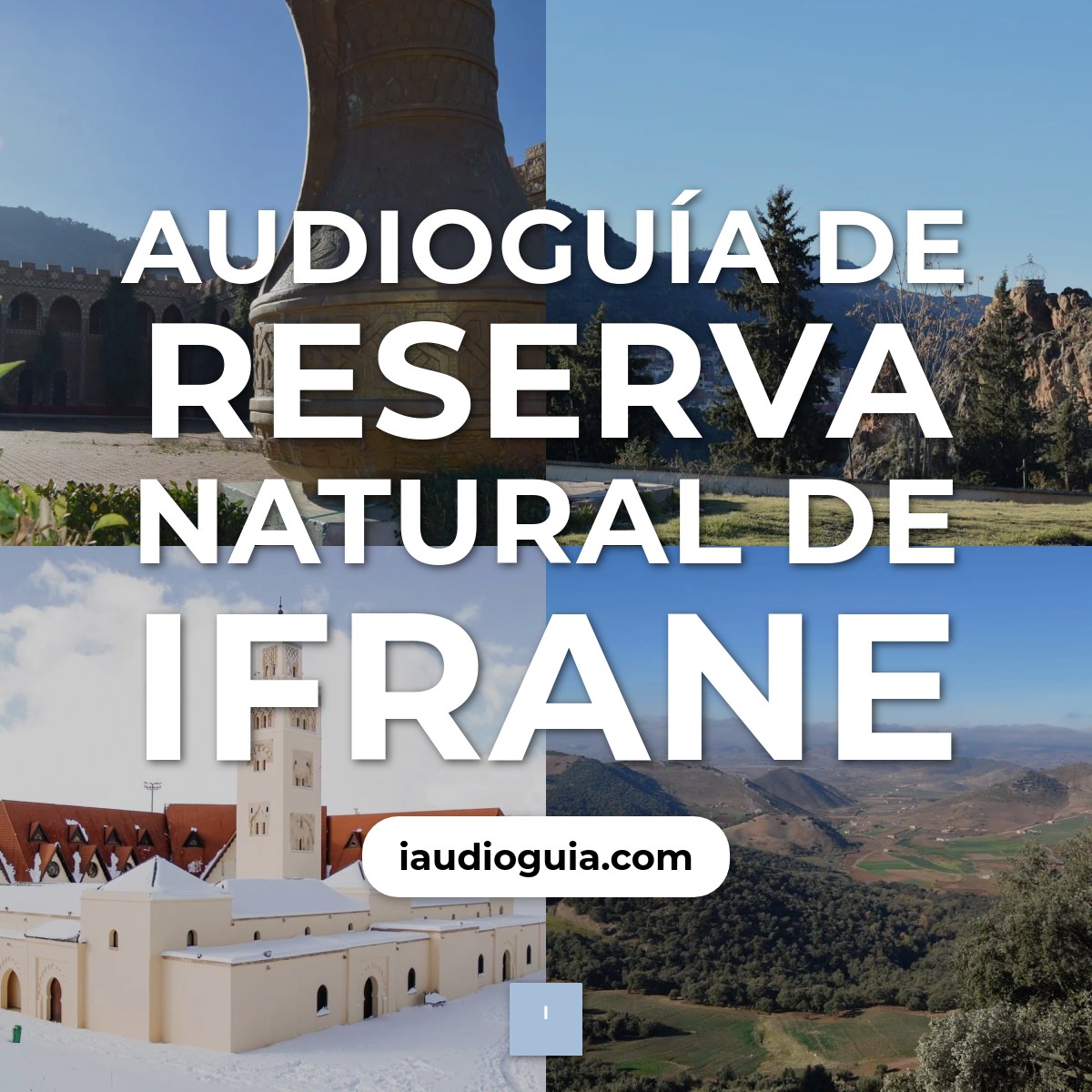 Audioguía de Reserva Natural Ifrane