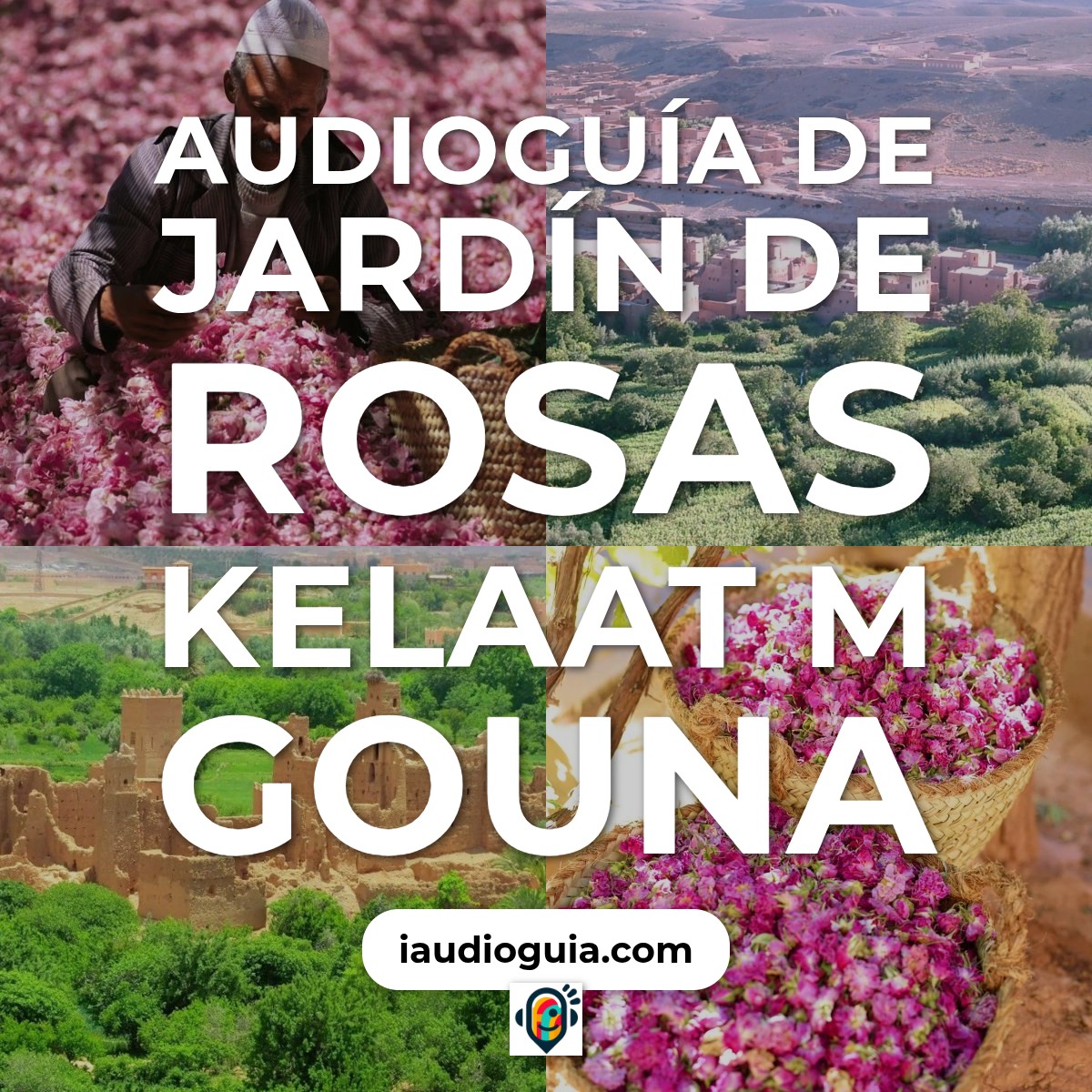 Audioguía de Jardin Rosas Kelaat M Gouna