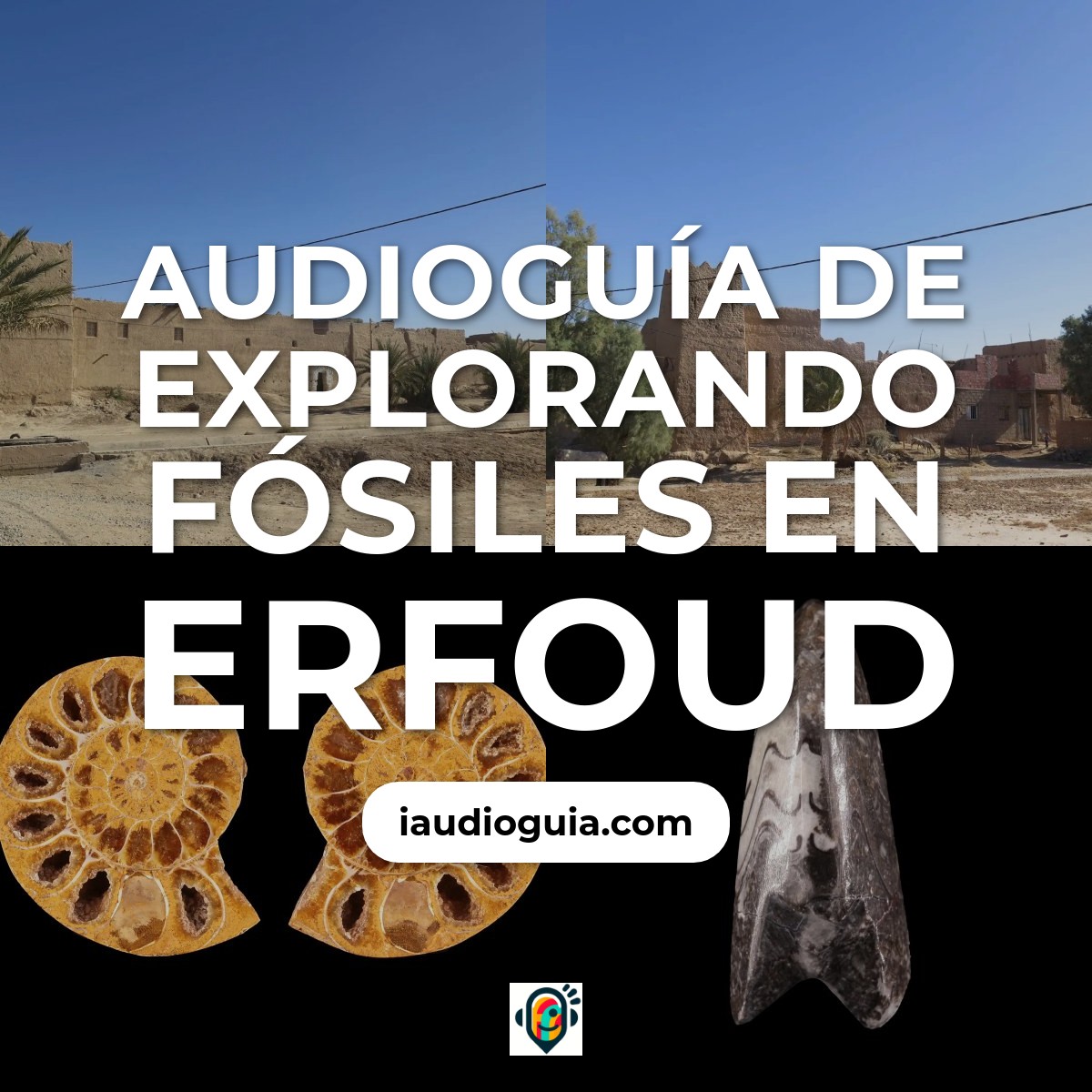 Audioguía de Fosiles
