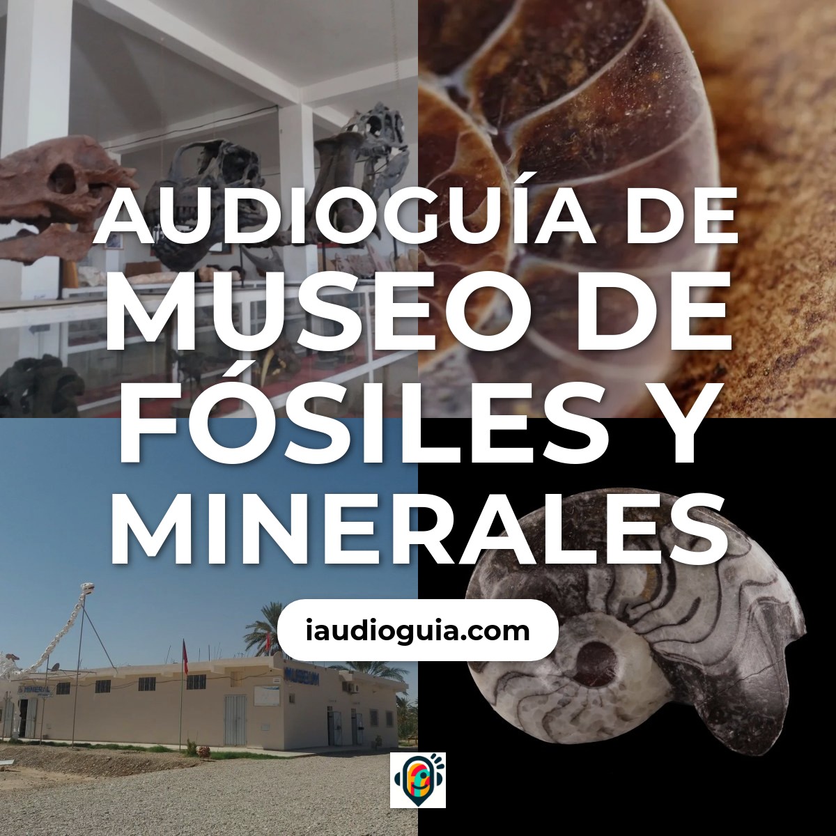 Audioguía de Museo Fosiles Minerales