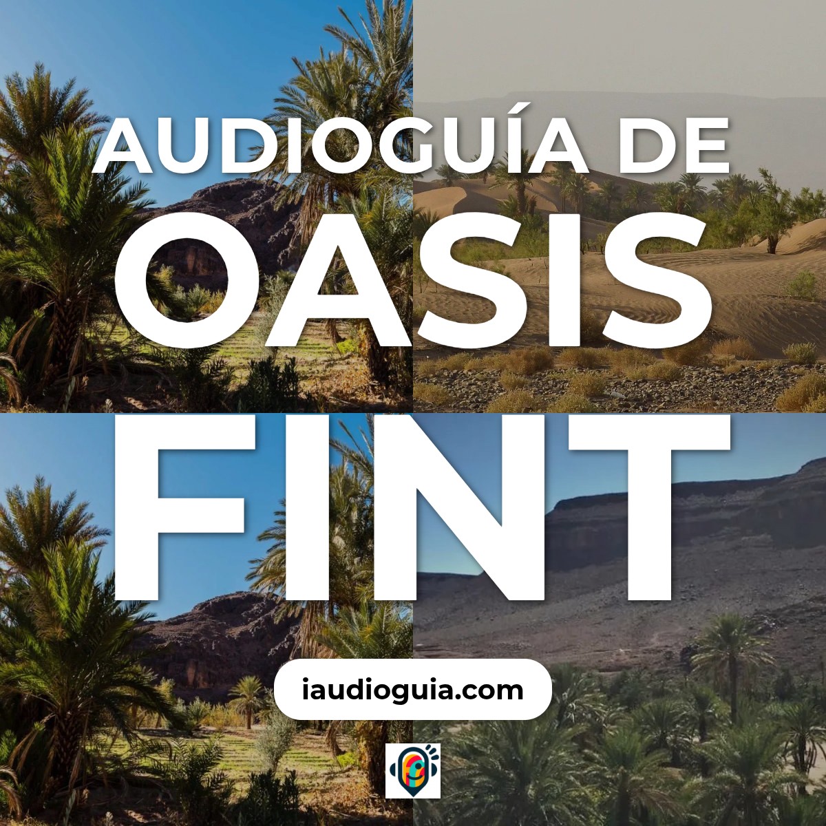 Audioguía de Oasis Fint