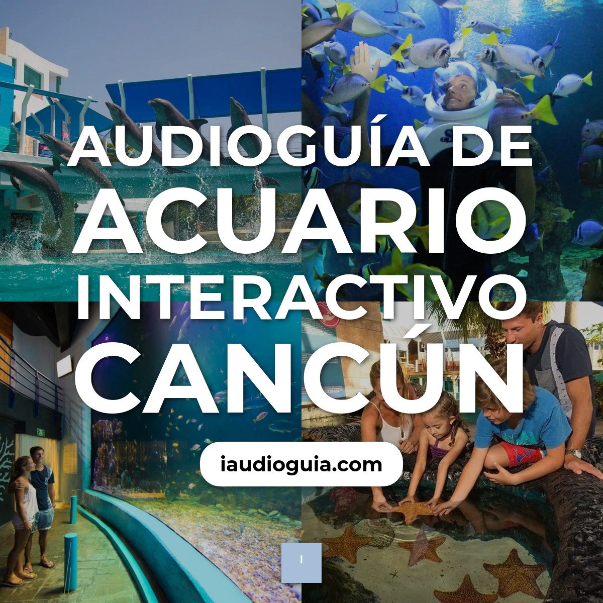 Audioguía de Acuario Interactivo Cancun