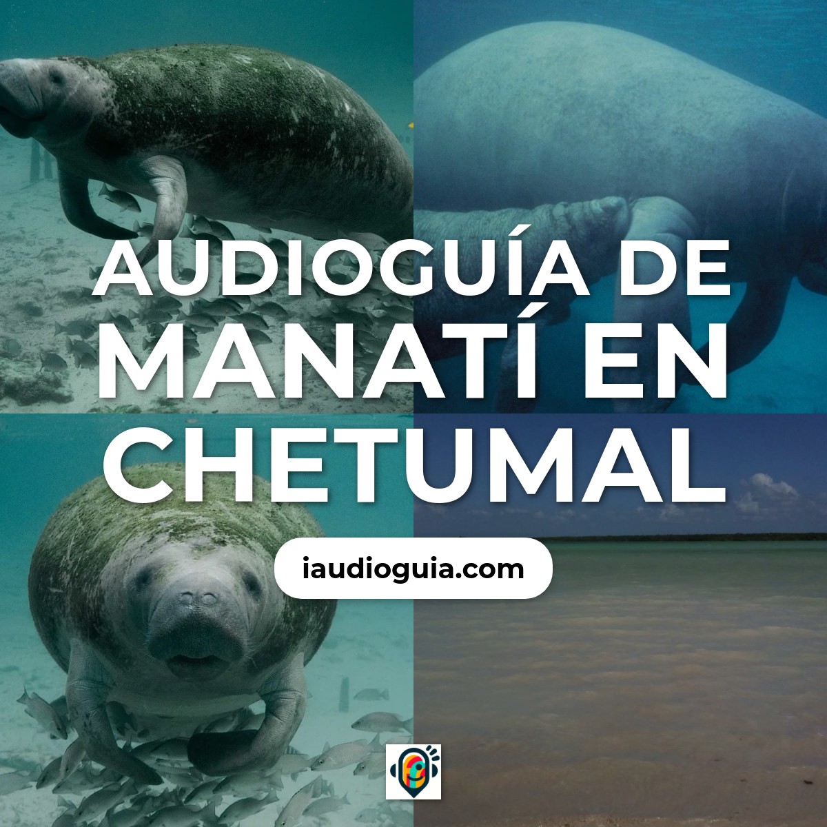 Audioguía de Manati