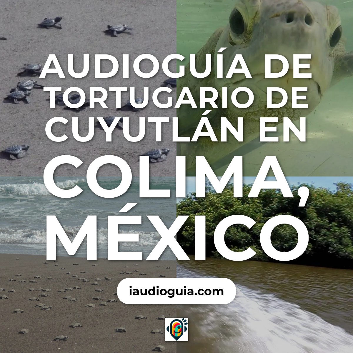 Audioguía de Tortugario Cuyutlan