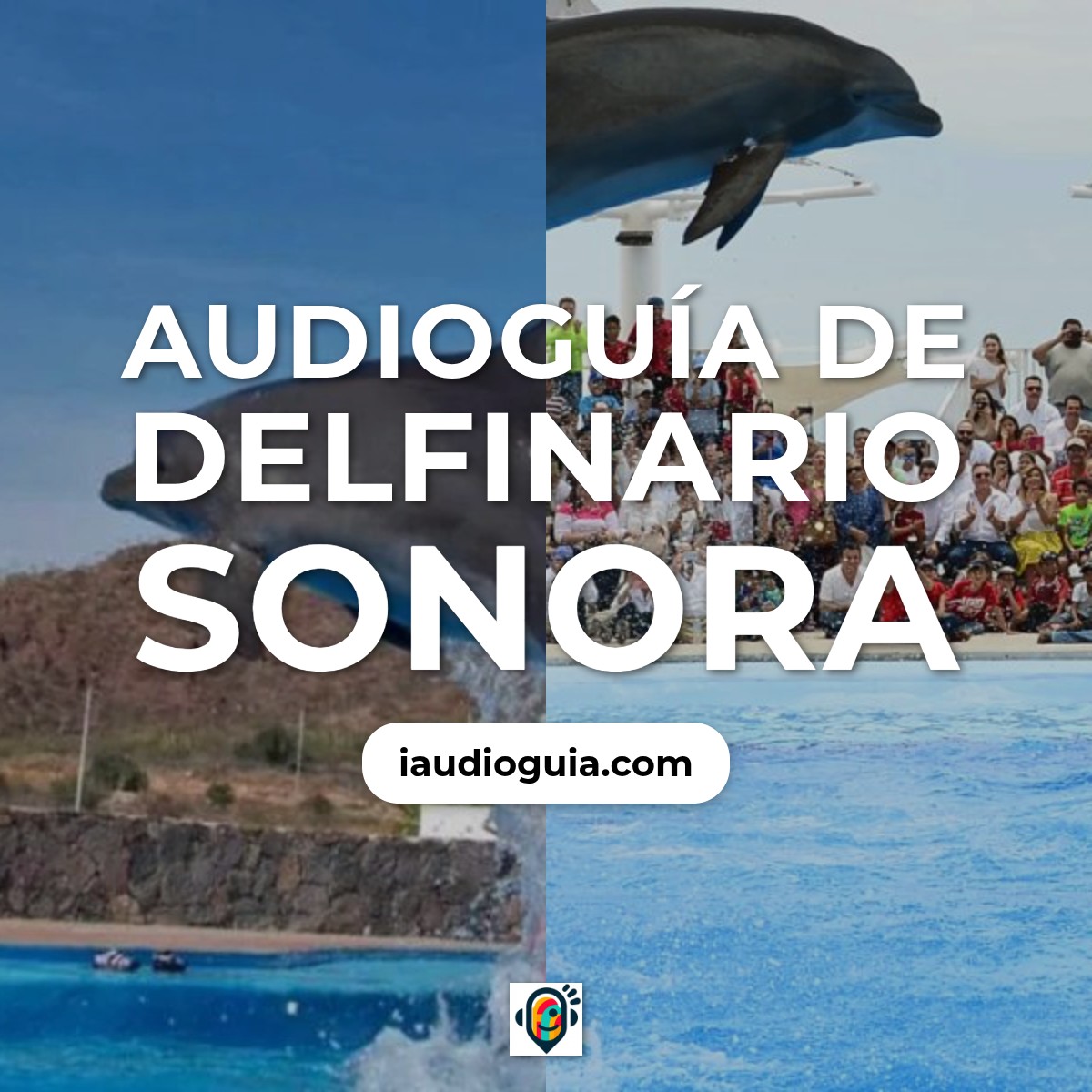 Audioguía de Delfinario Sonora