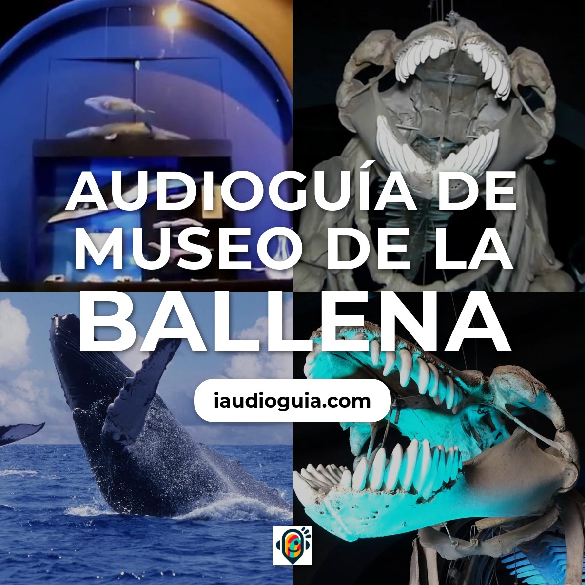 Audioguía de Museo Ballena