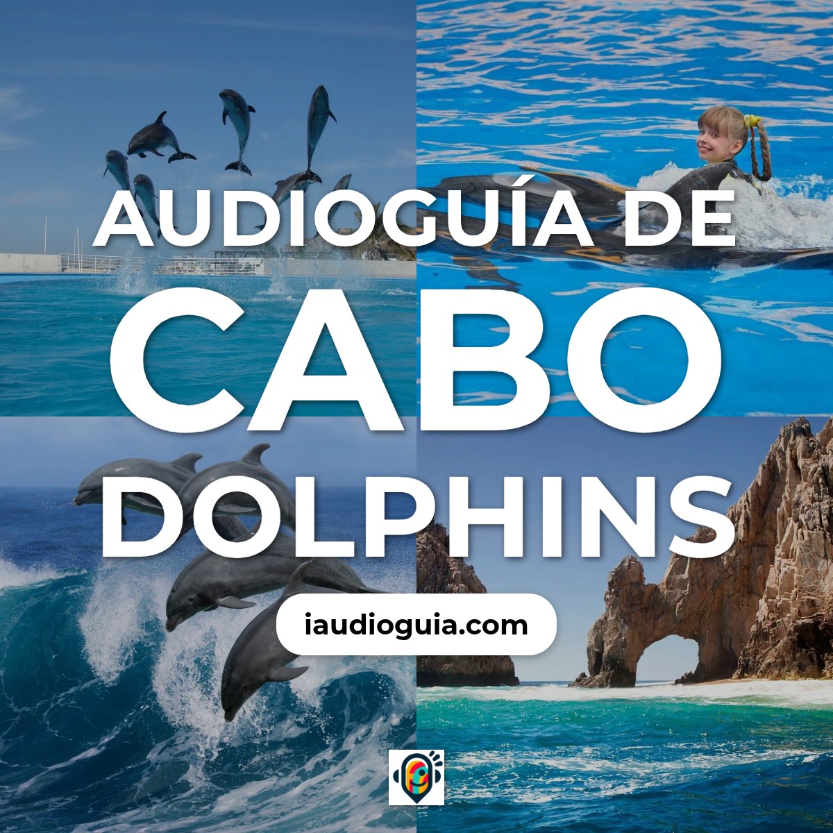 Audioguía de Cabo Dolphins