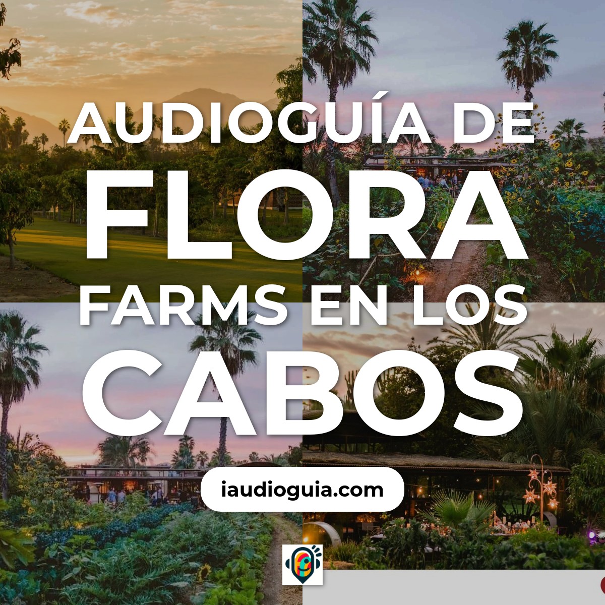 Audioguía de Flora Farms