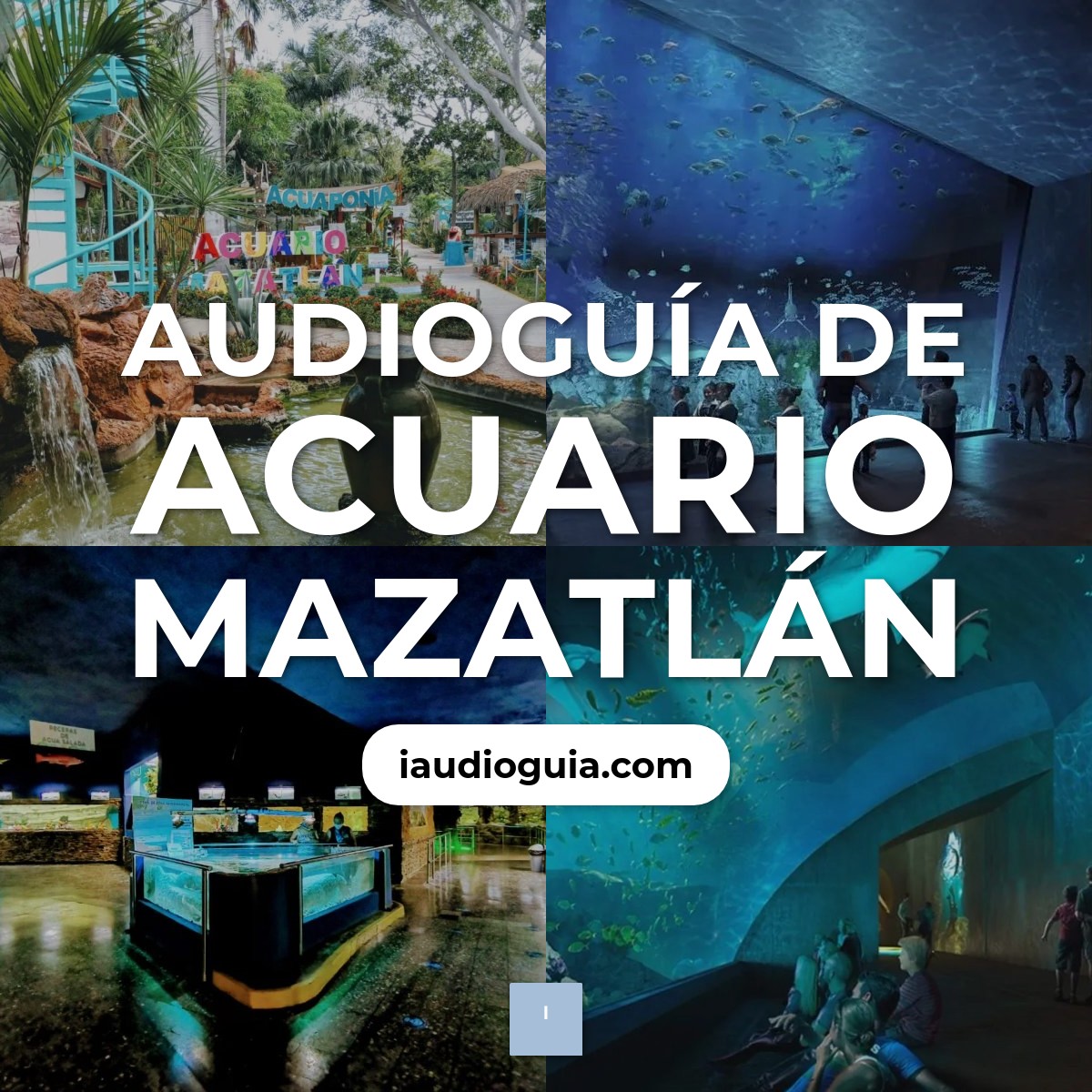 Audioguía de Acuario Mazatlan