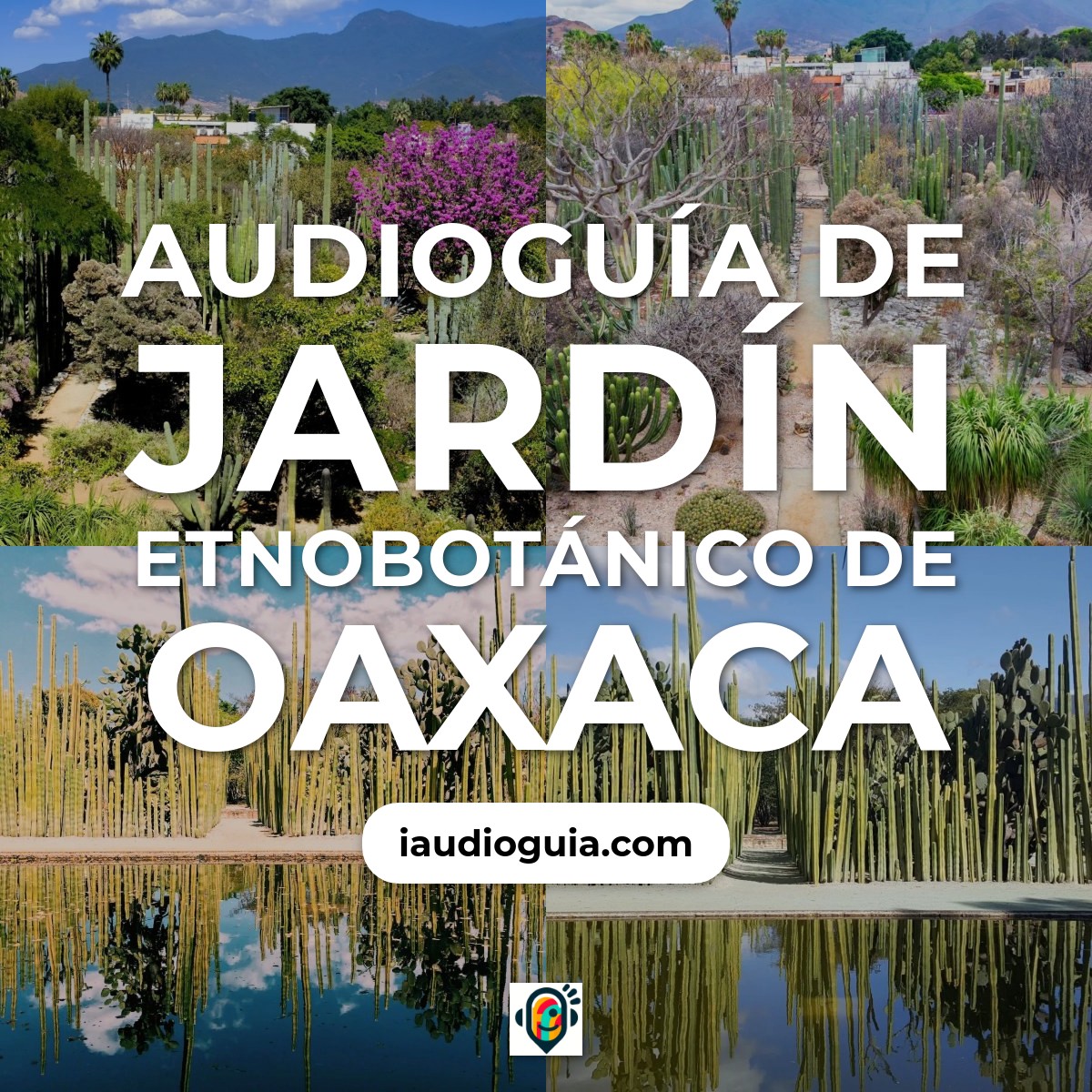 Audioguía de Jardin Etnobotanico