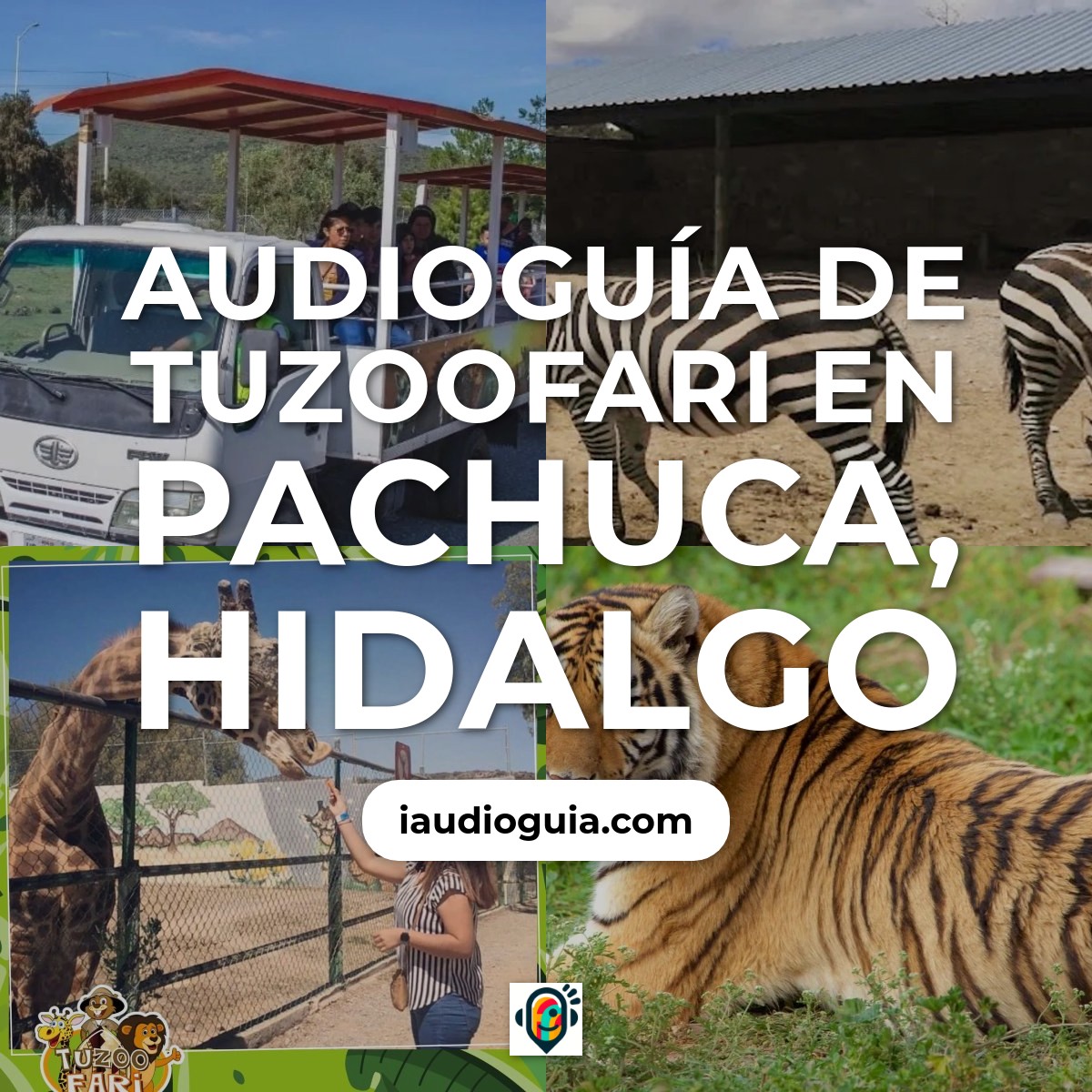 Audioguía de Tuzoofari