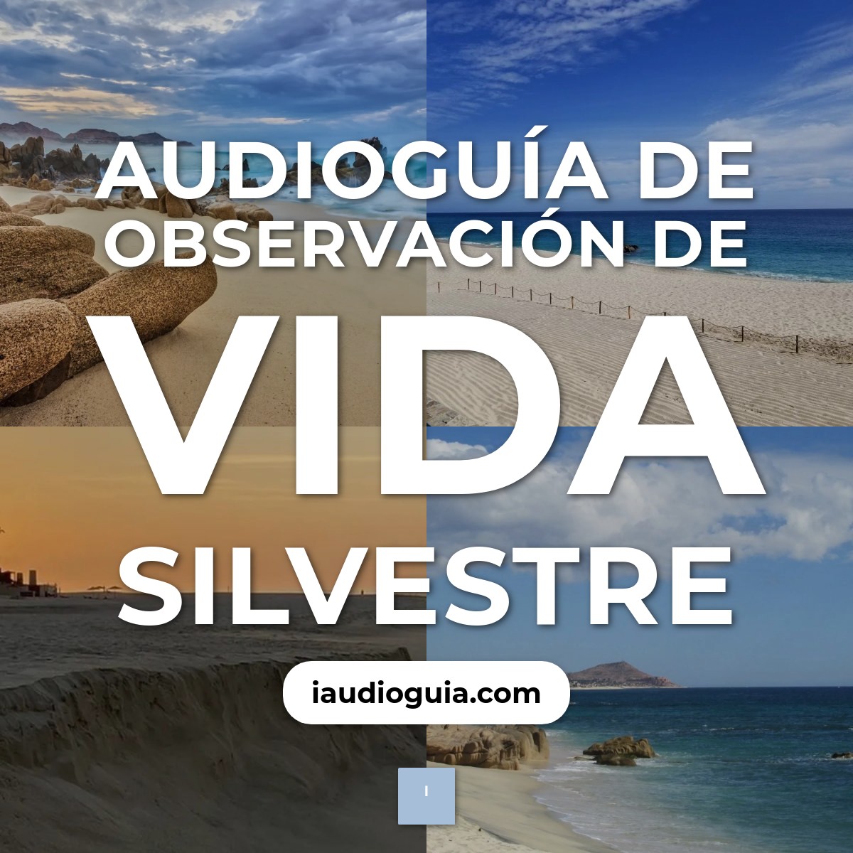 Audioguía de Observacion Vida Silvestre