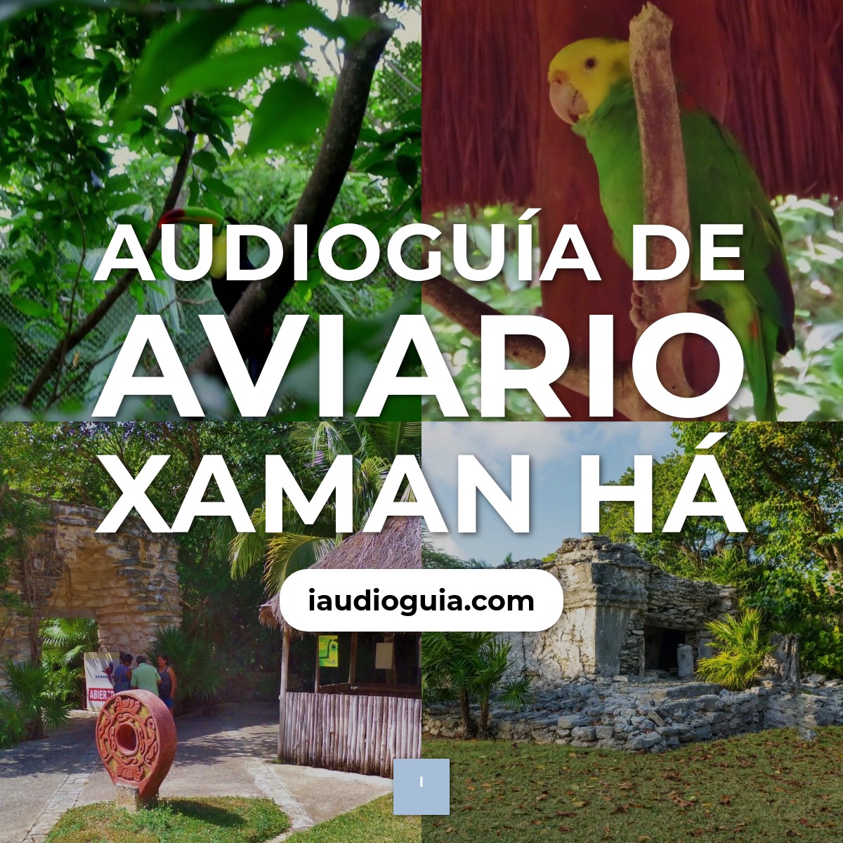 Audioguía de Aviario Xaman Ha