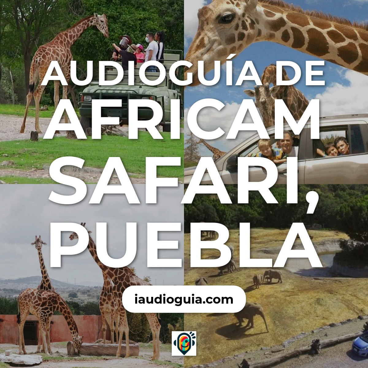Audioguía de Parque Africam Safari