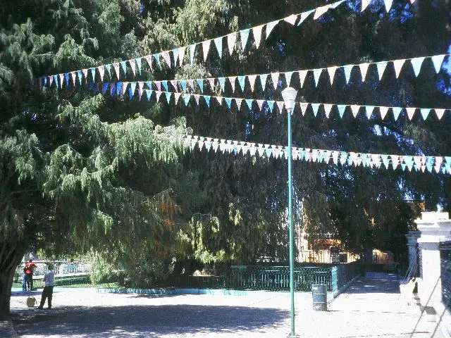 Audioguía de Arbol Del Tule