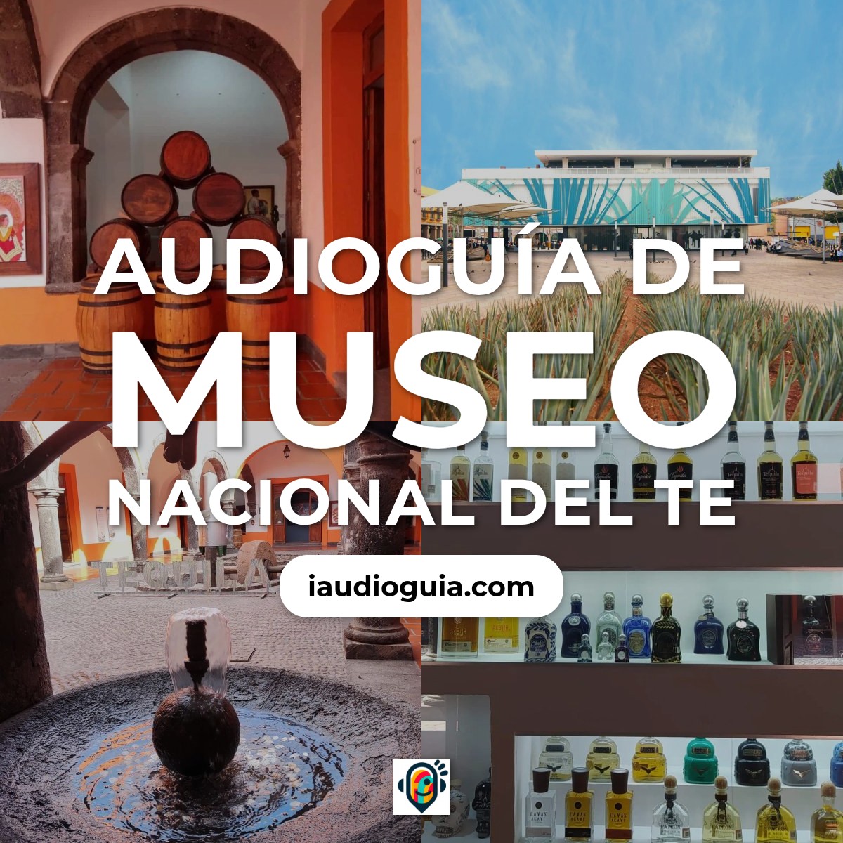Audioguía de Museo Nacional Del Te